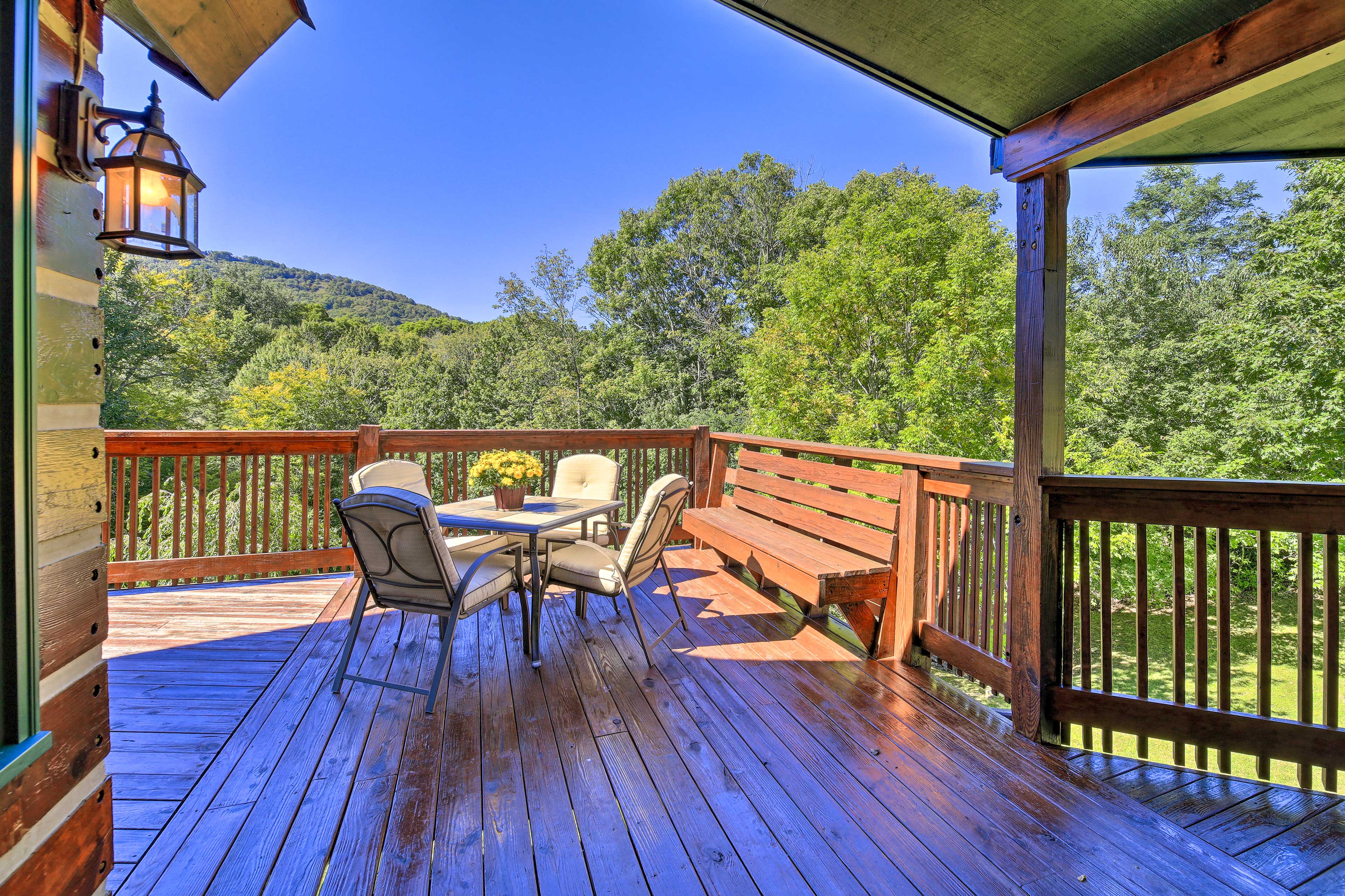 Property Image 2 - Dog-Friendly Cabin: Ski, Hike, & Visit Vineyards