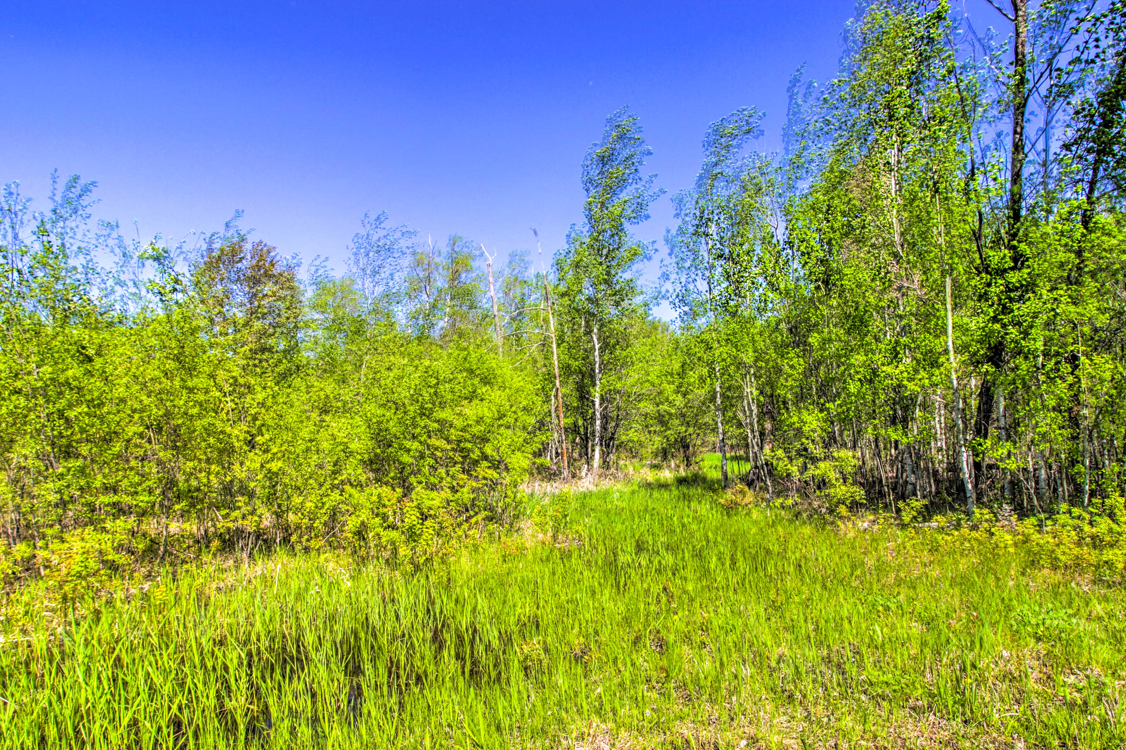 Property Image 2 - Rural ’Harry’s House’ w/ Fire Pit on 20 Acres