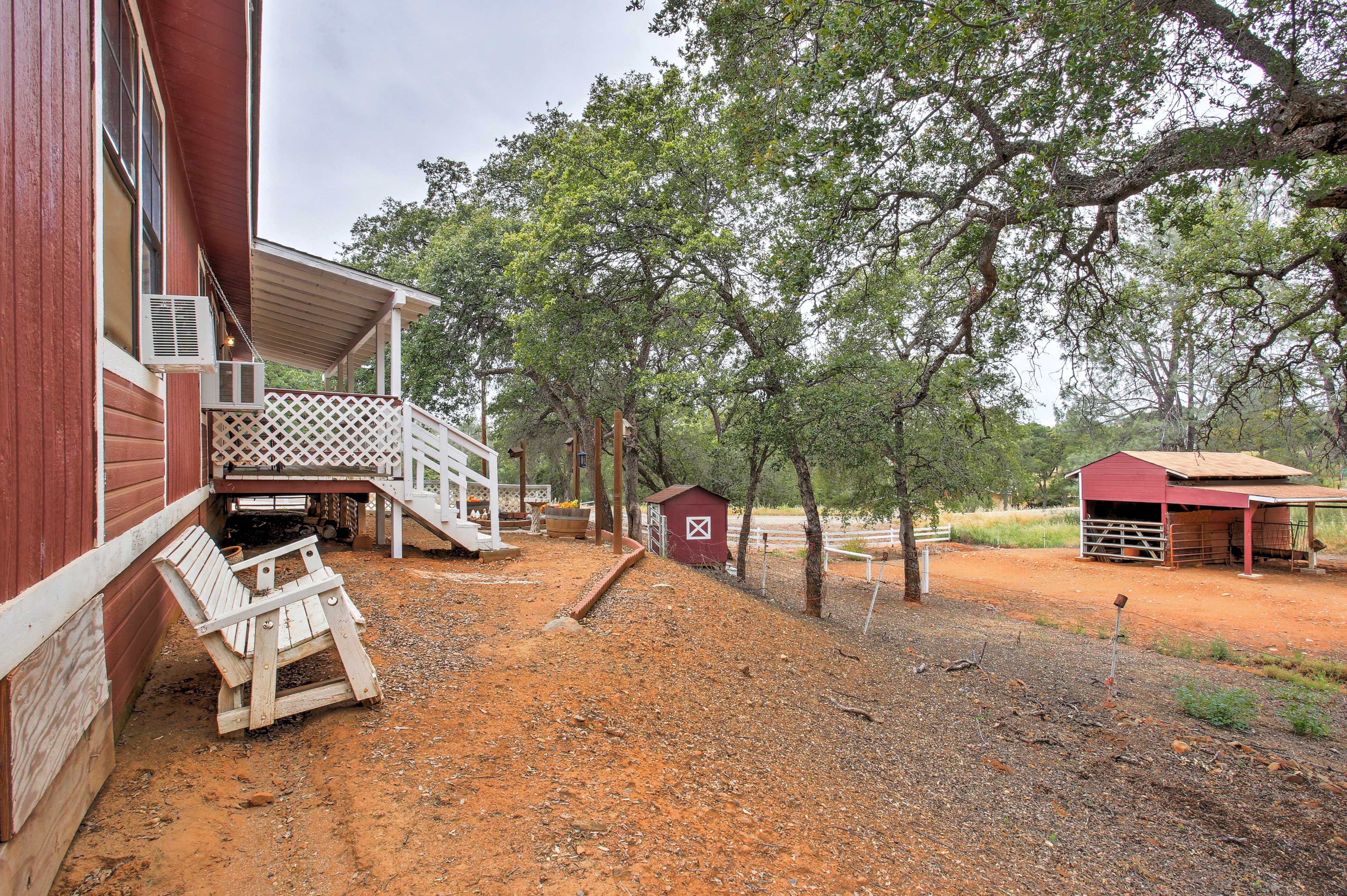 Peaceful 'Serenity Ranch' - Day Trip to Yosemite!