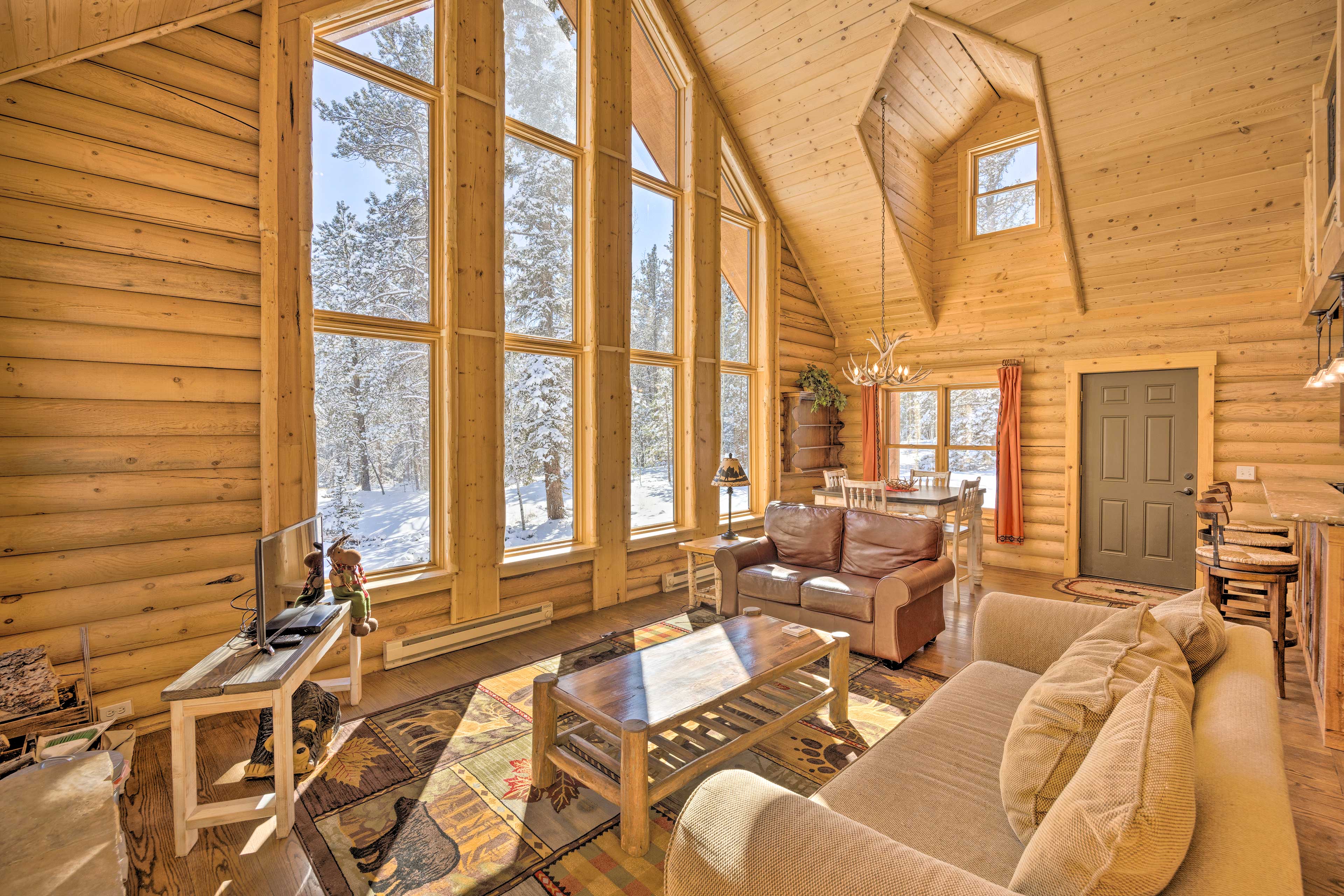 Property Image 1 - Sunny Forest Cabin w/ Views of Pikes Peak Mtn!