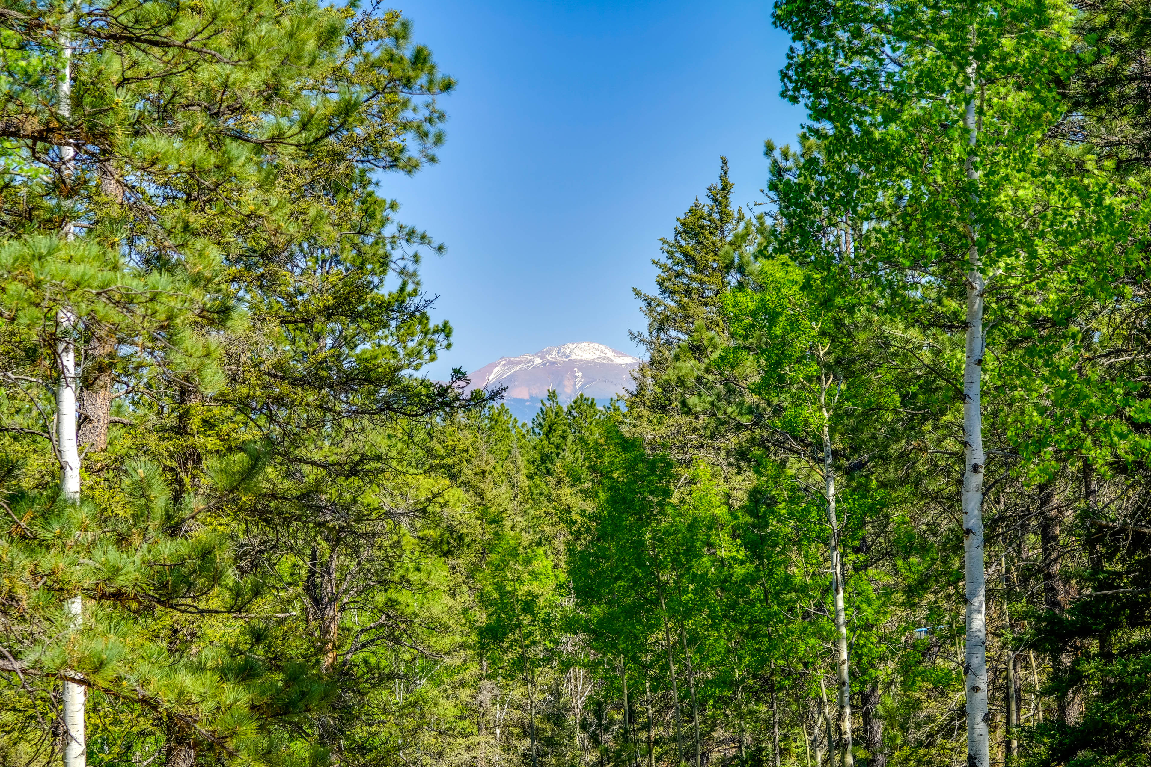 Property Image 1 - Sunny Forest Cabin w/ Views of Pikes Peak Mtn!