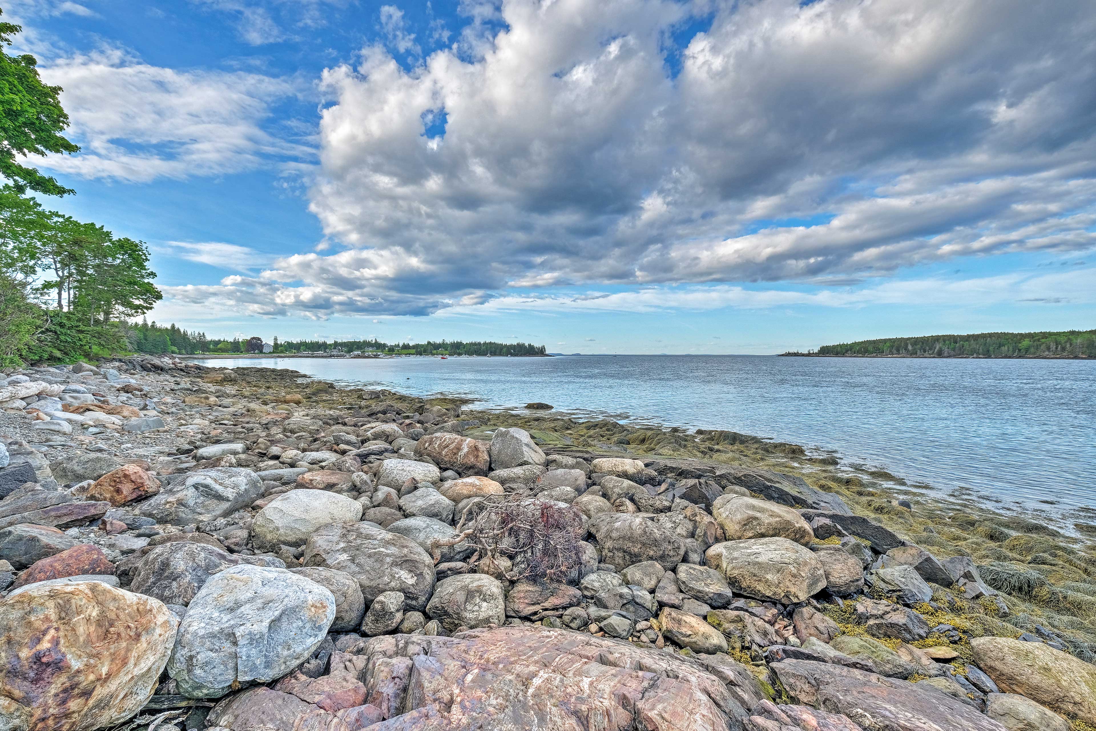 Property Image 2 - Lovely Waterfront Owls Head Home w/ Own Beach