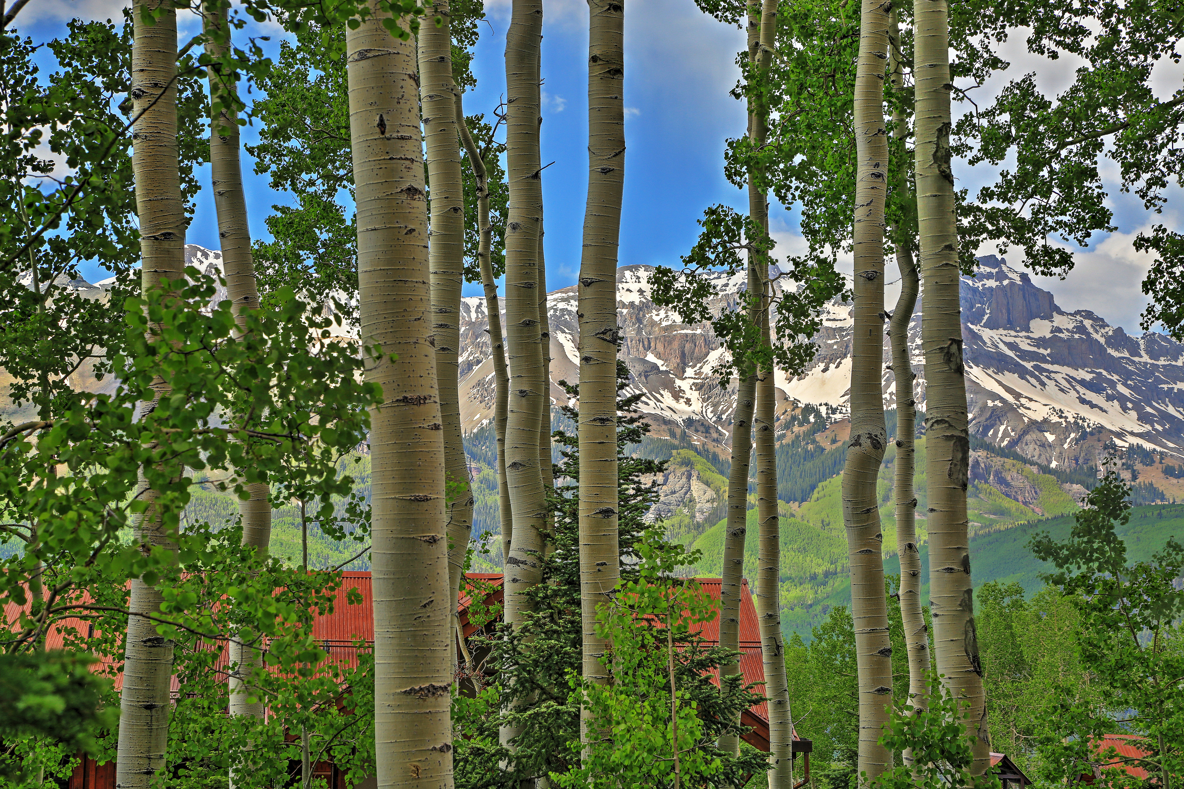 Property Image 2 - Ski-In/Ski-Out Telluride Home w/ Deck & Hot Tub!