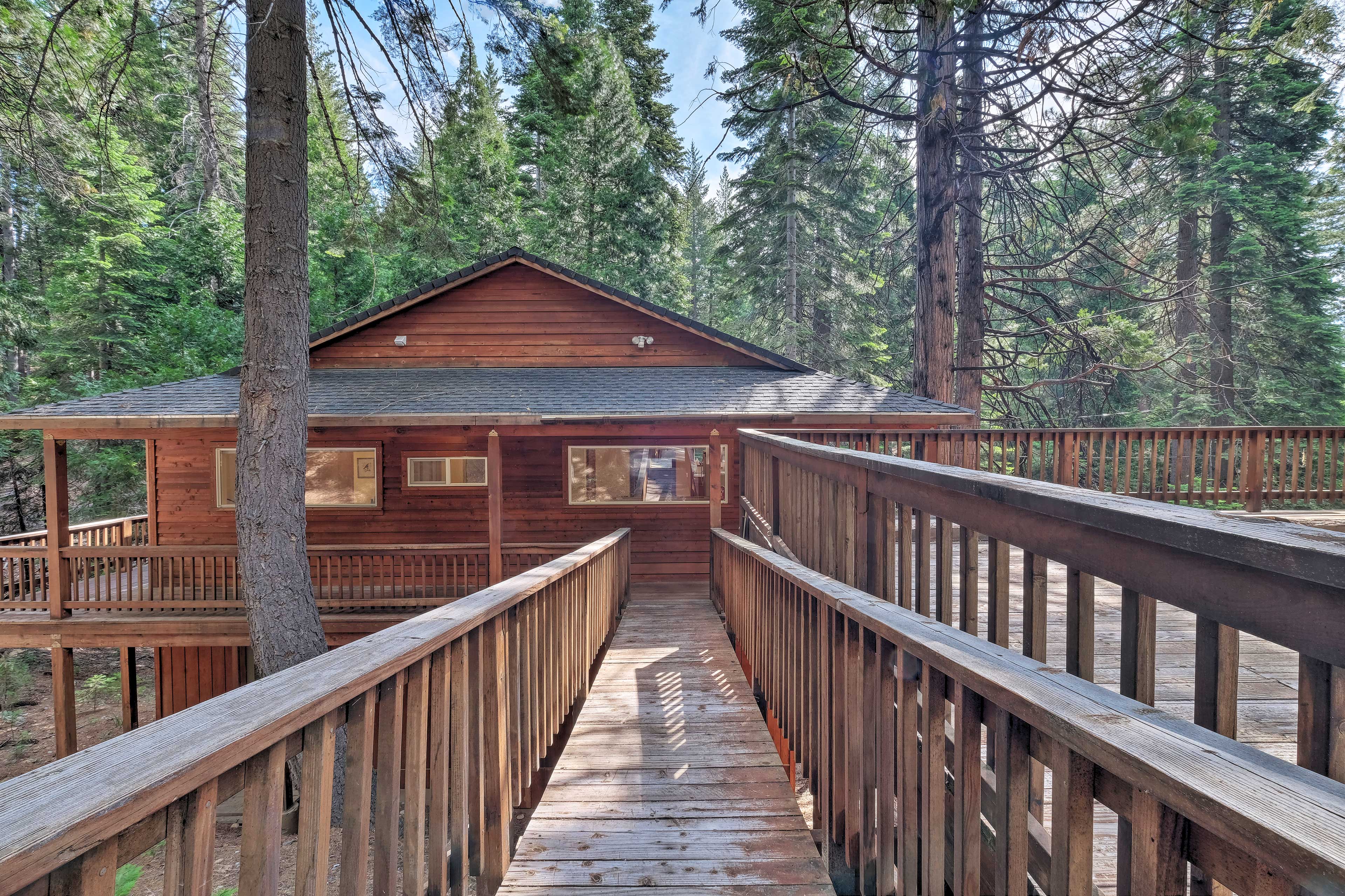 Property Image 2 - Dorrington Cabin: Walk to Big Trees State Park!