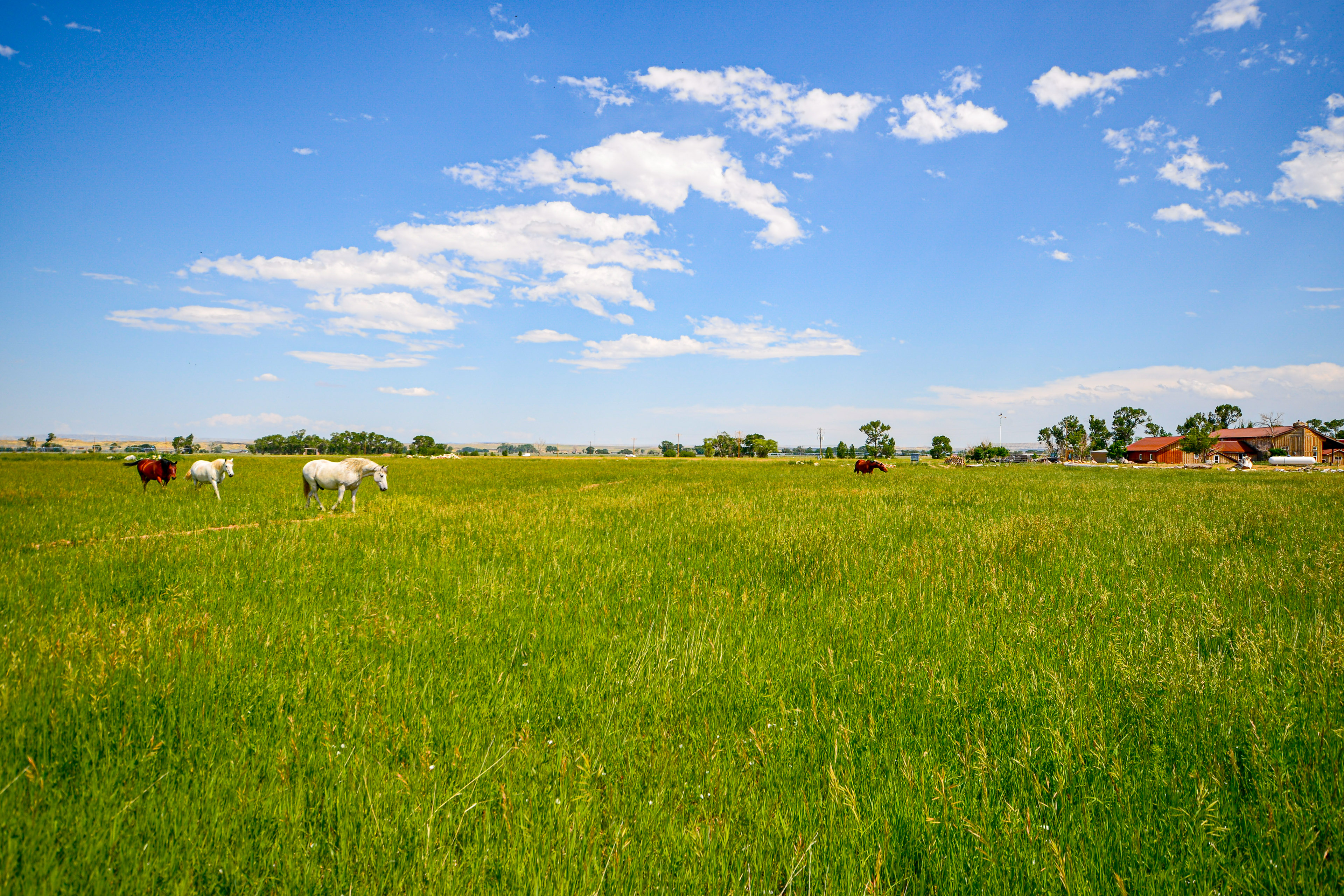 Private Clark Ranch Retreat w/ Mountain Views!