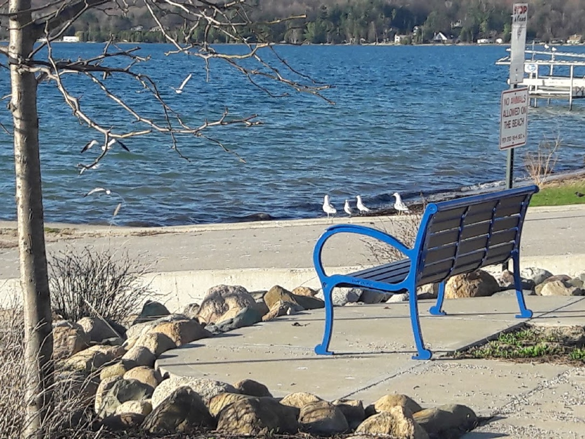 Property Image 2 - Elegant Stone Cottage: Steps to Crystal Lake Beach