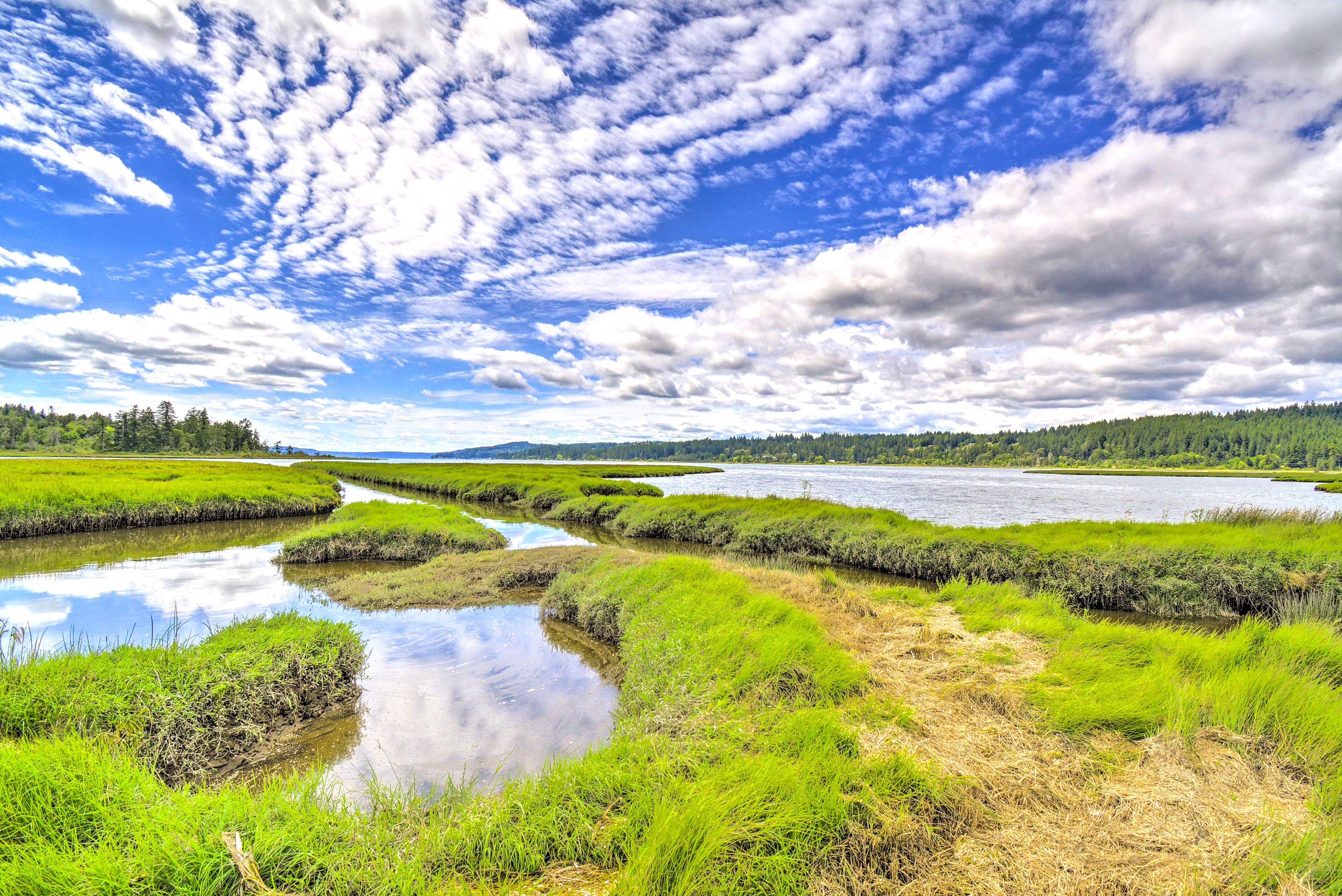 Property Image 2 - Stunning Hood Canal Getaway w/ Private Deck!