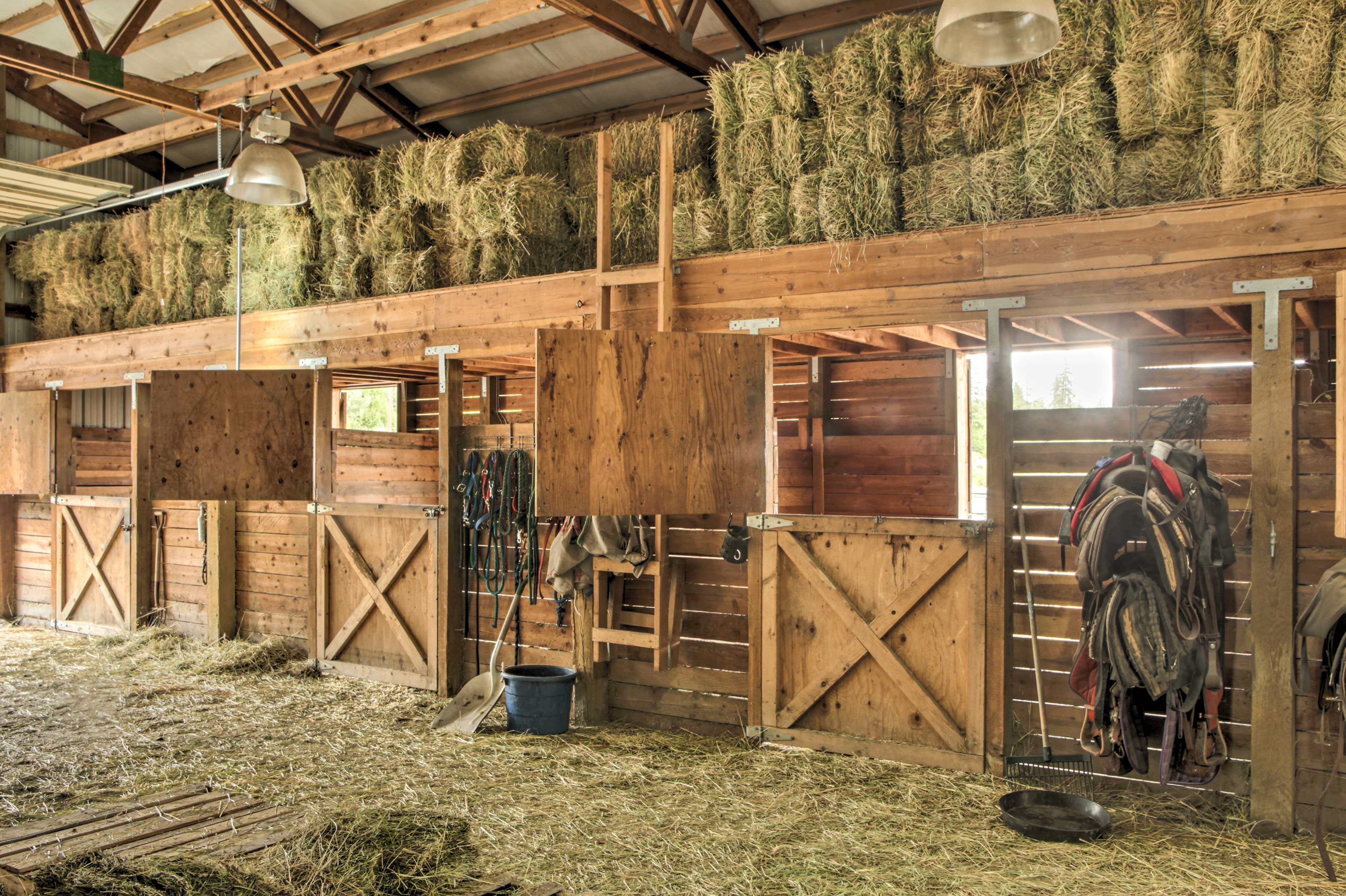 Rural Kettle Falls Bunkhouse w/ Airstrip & Trails!