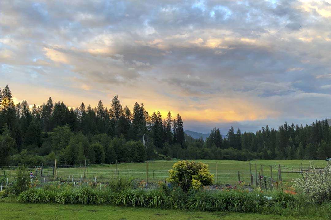 Property Image 2 - Rural Kettle Falls Bunkhouse w/ Airstrip & Trails!