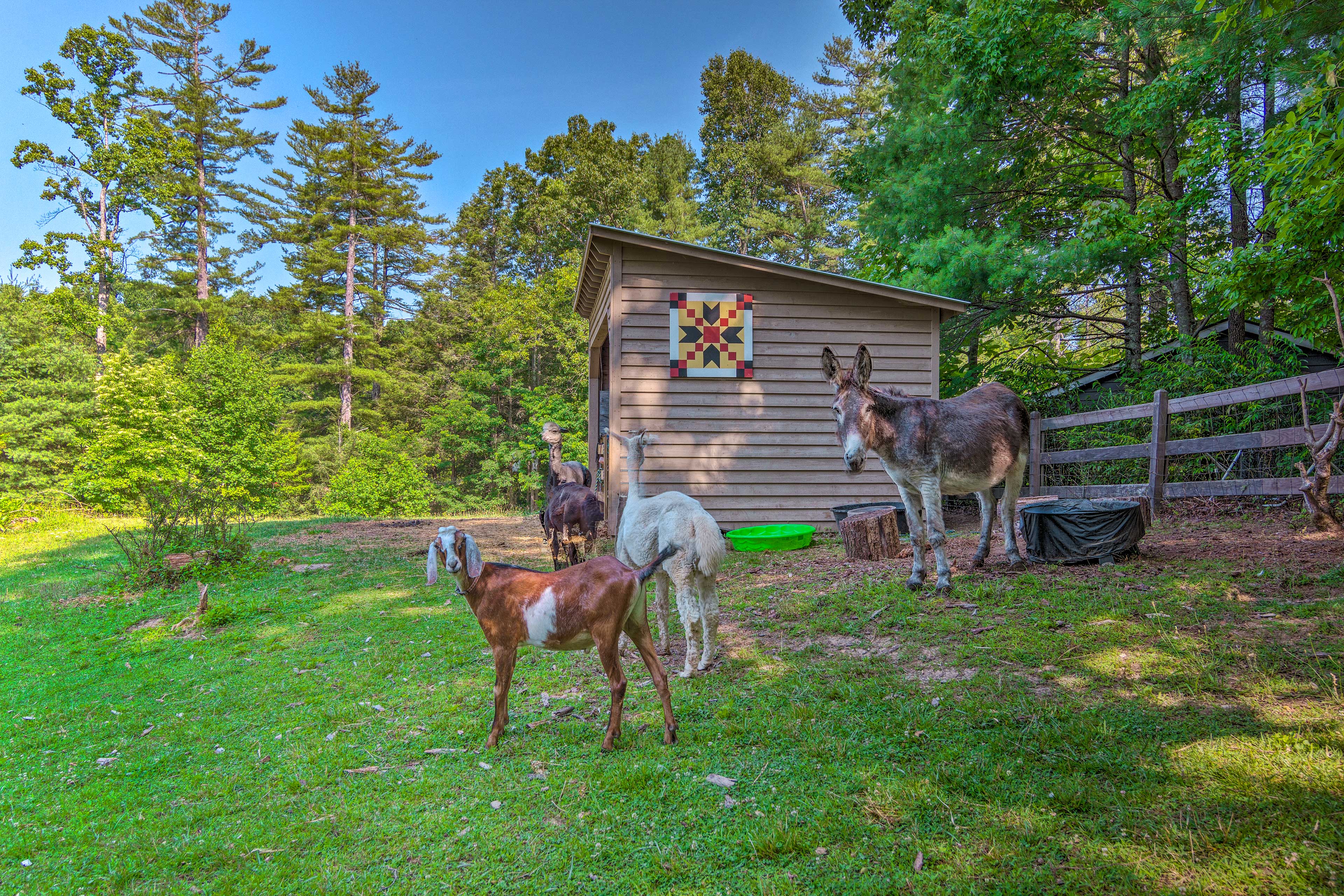 Property Image 2 - Rustic & Authentic Farm Stay by DuPont Forest!