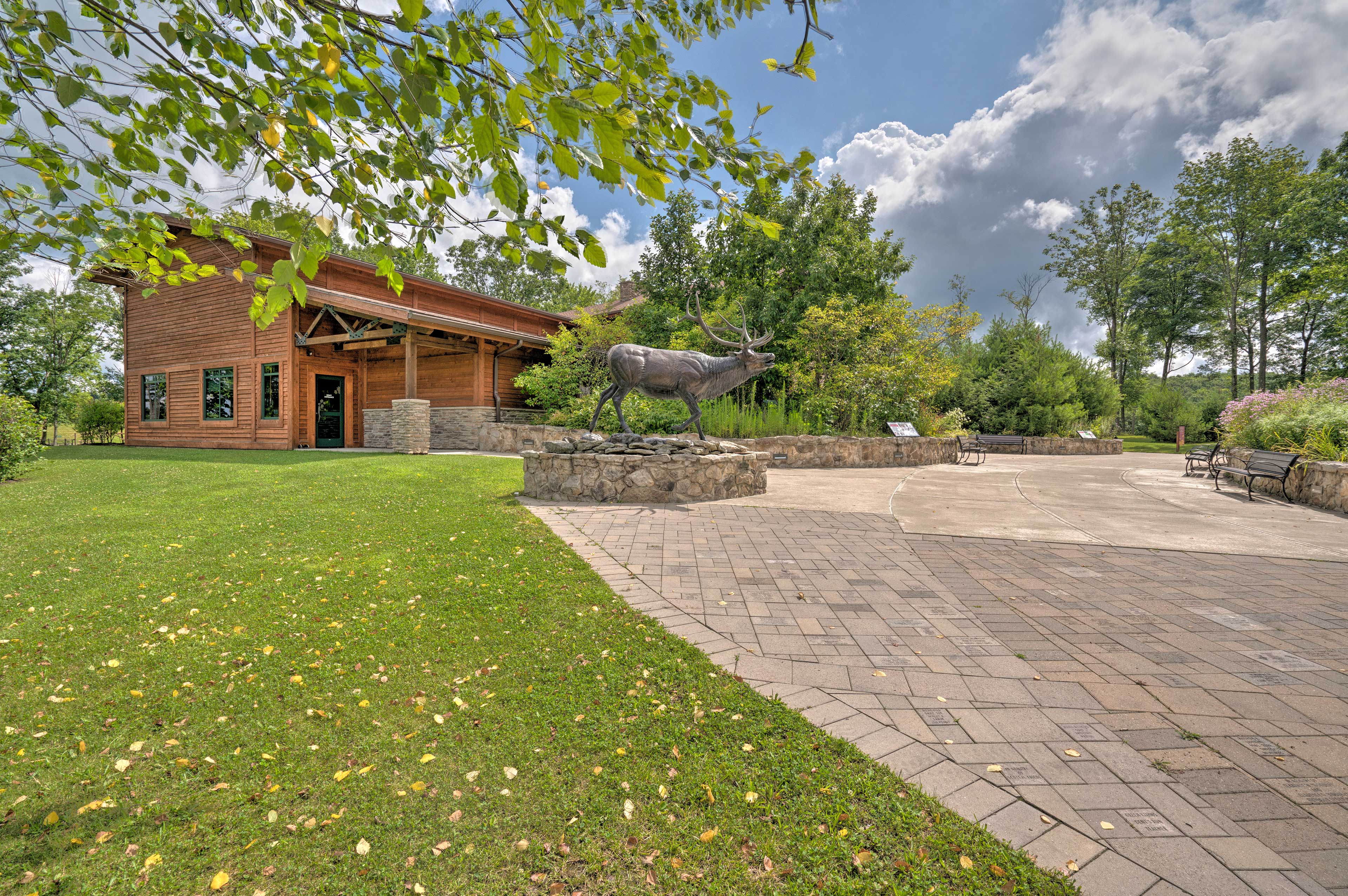 Property Image 2 - Rustic Benezette Cabin: Porch, Hot Tub & Fire Pit