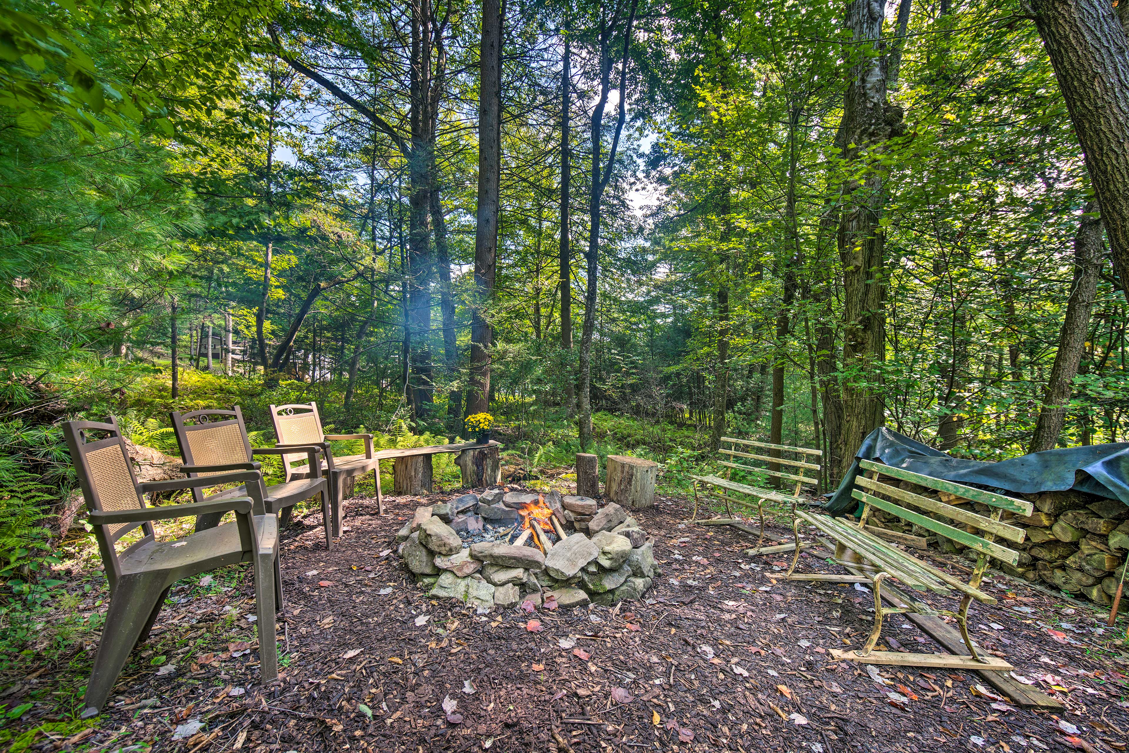 Property Image 2 - Scenic Spring Mills Escape: Swim, Fish, Hike!