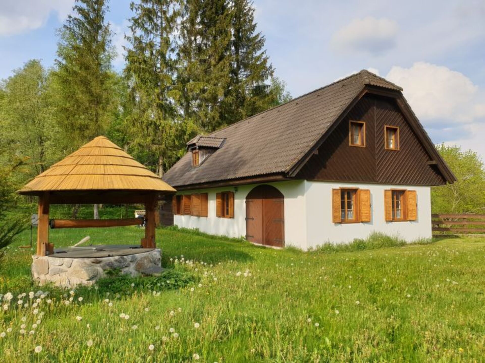 Property Image 1 - Luxury House in Perfect Location, Jihočeský kraj House 1007