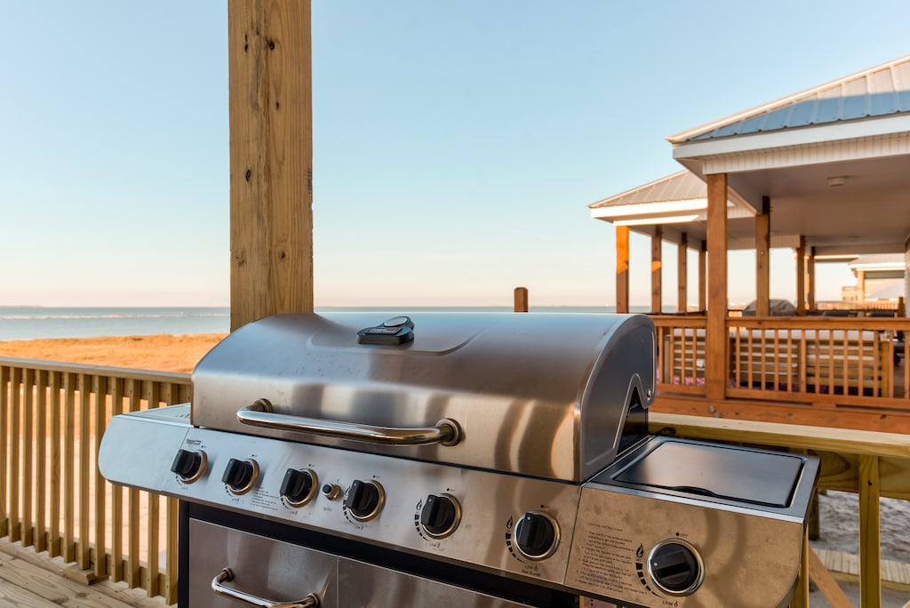 Outdoor Cooking Sandy Cheeks