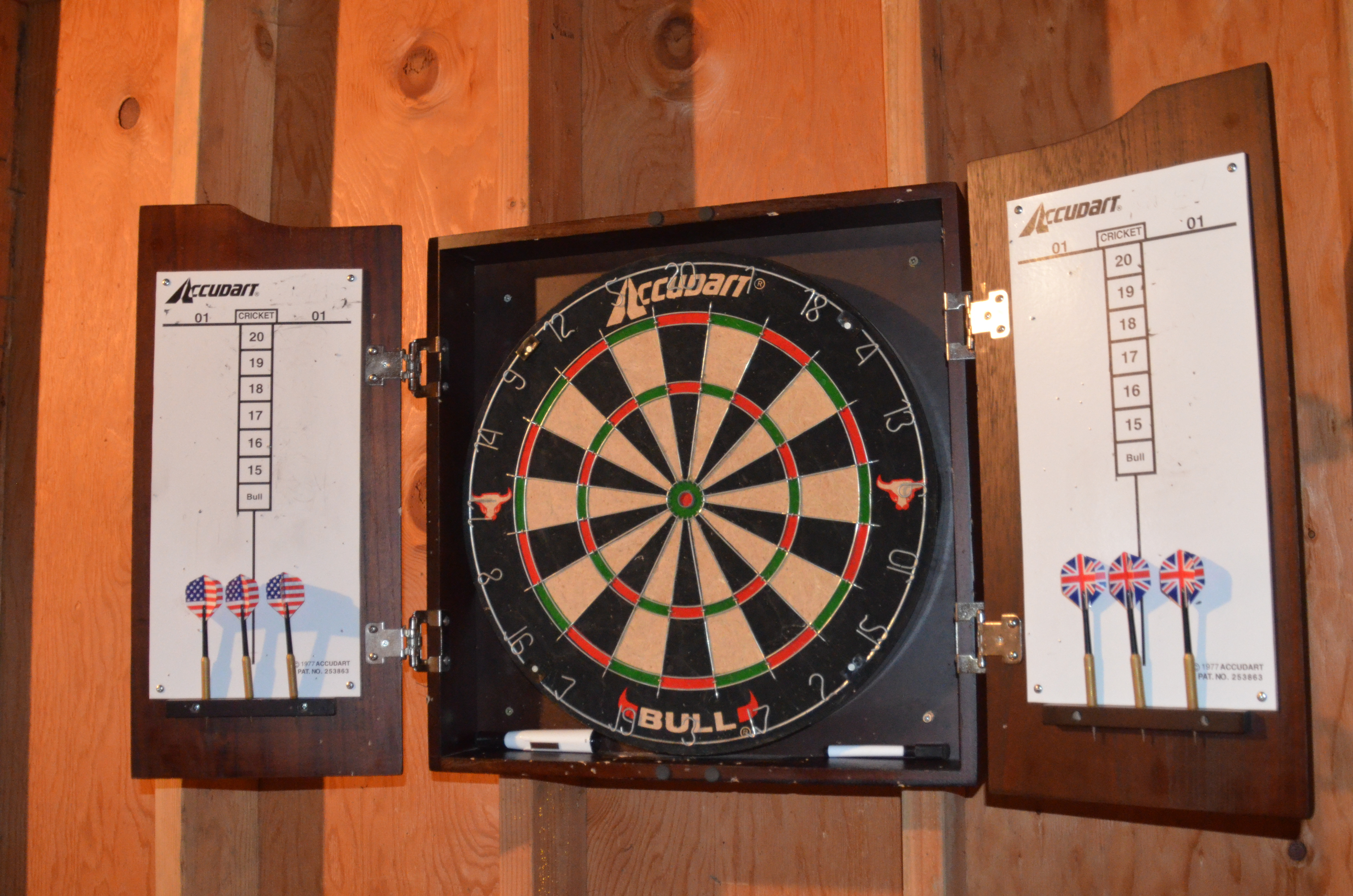 Darts and other fun games