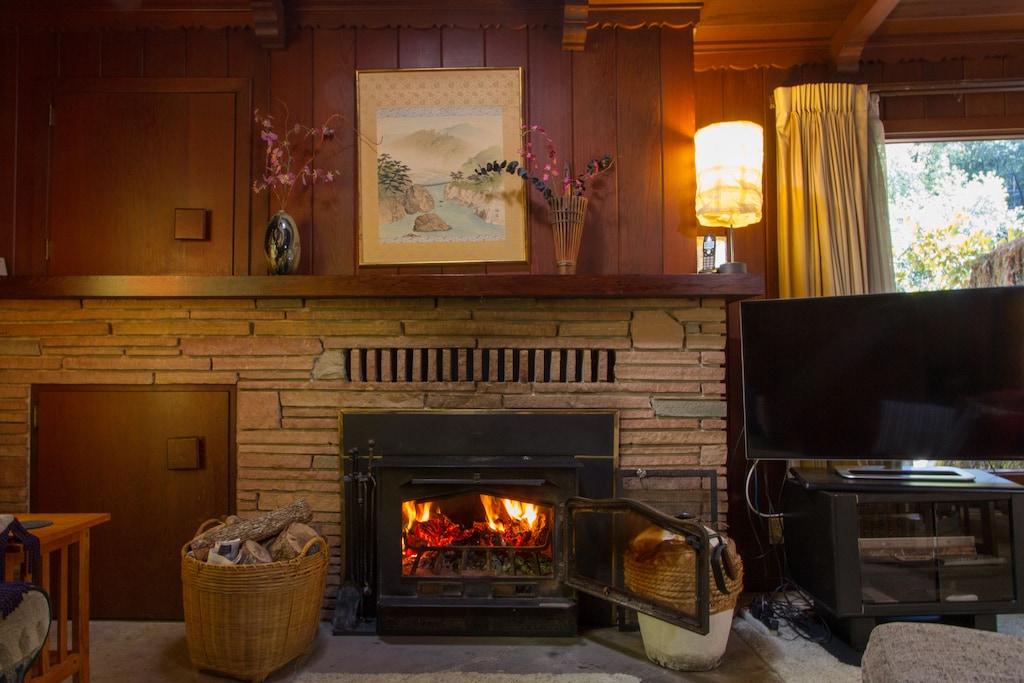 Snuggle up in front of the fireplace!
