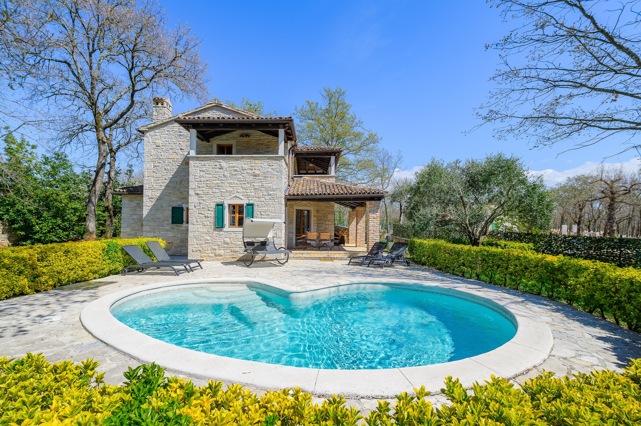 Property Image 1 - Amazing Villa Elaya with pool in Istria