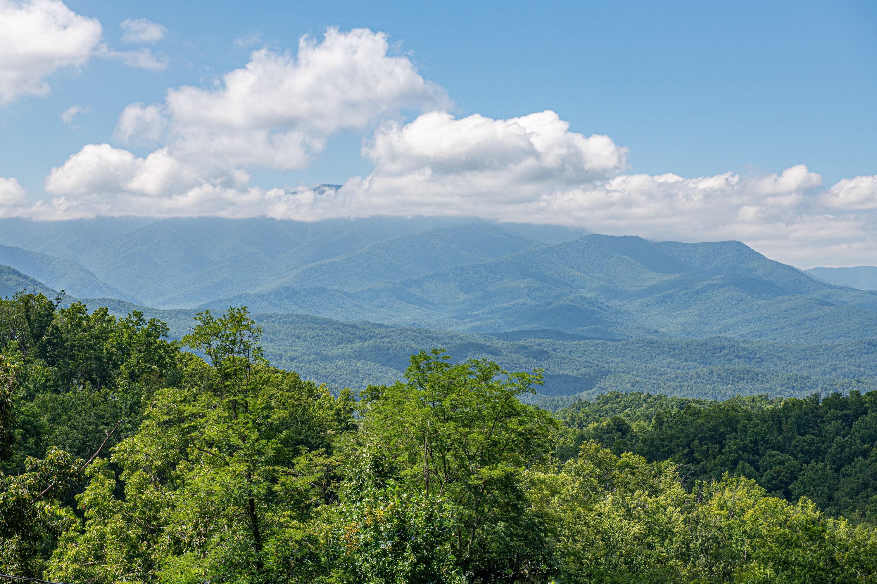 Property Image 2 - Mountain Mist