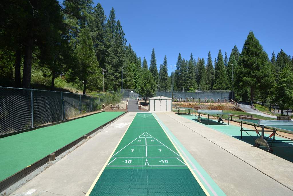 BLS Shuffleboard