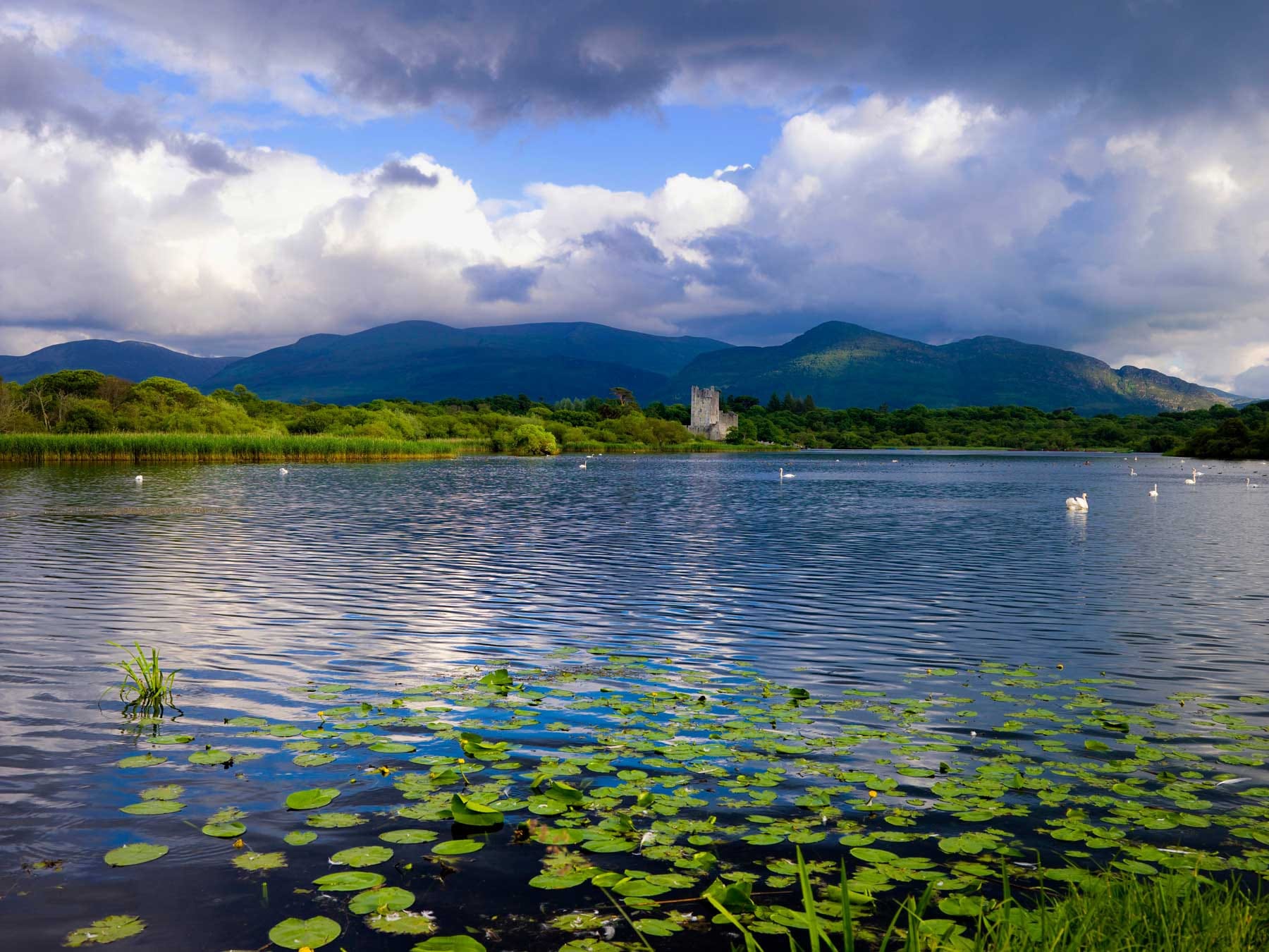 Ross Castle, Killarney, County Kerry © Chris Hill Photographic