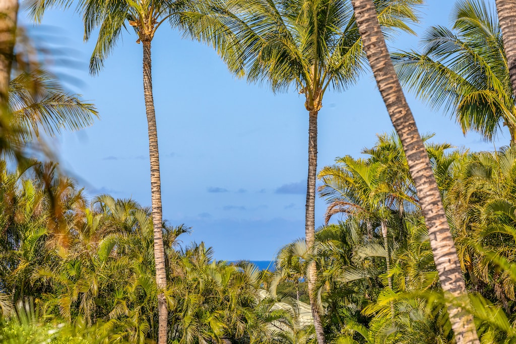 Glimpses of the ocean peek through lush palm-lined landscapes.