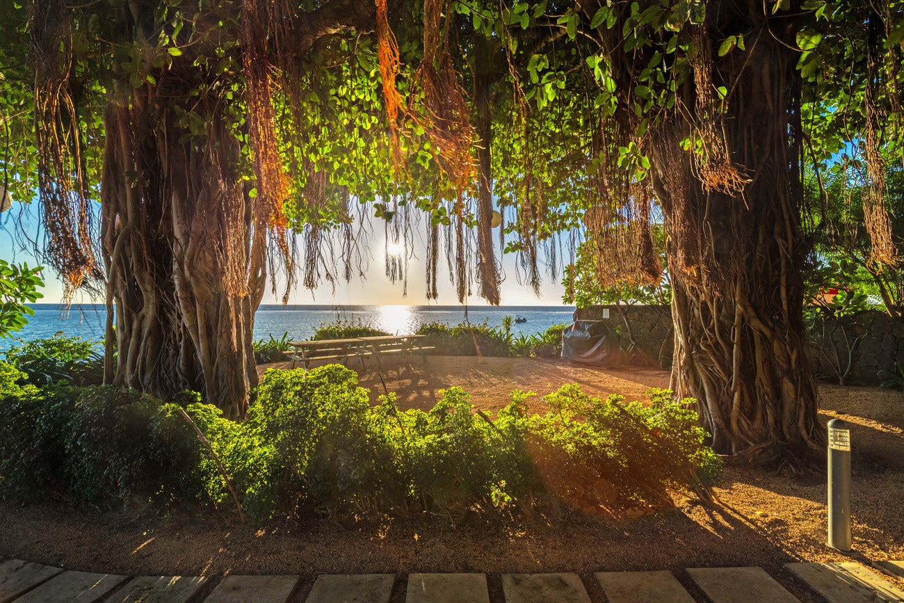 Esplanade Deluxe Apartment Esplanade Deluxe Apartment