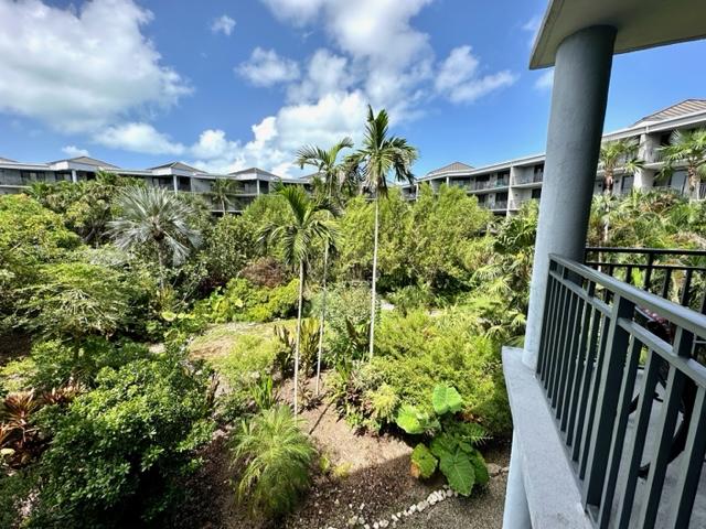 Lush Tropical Courtyard View