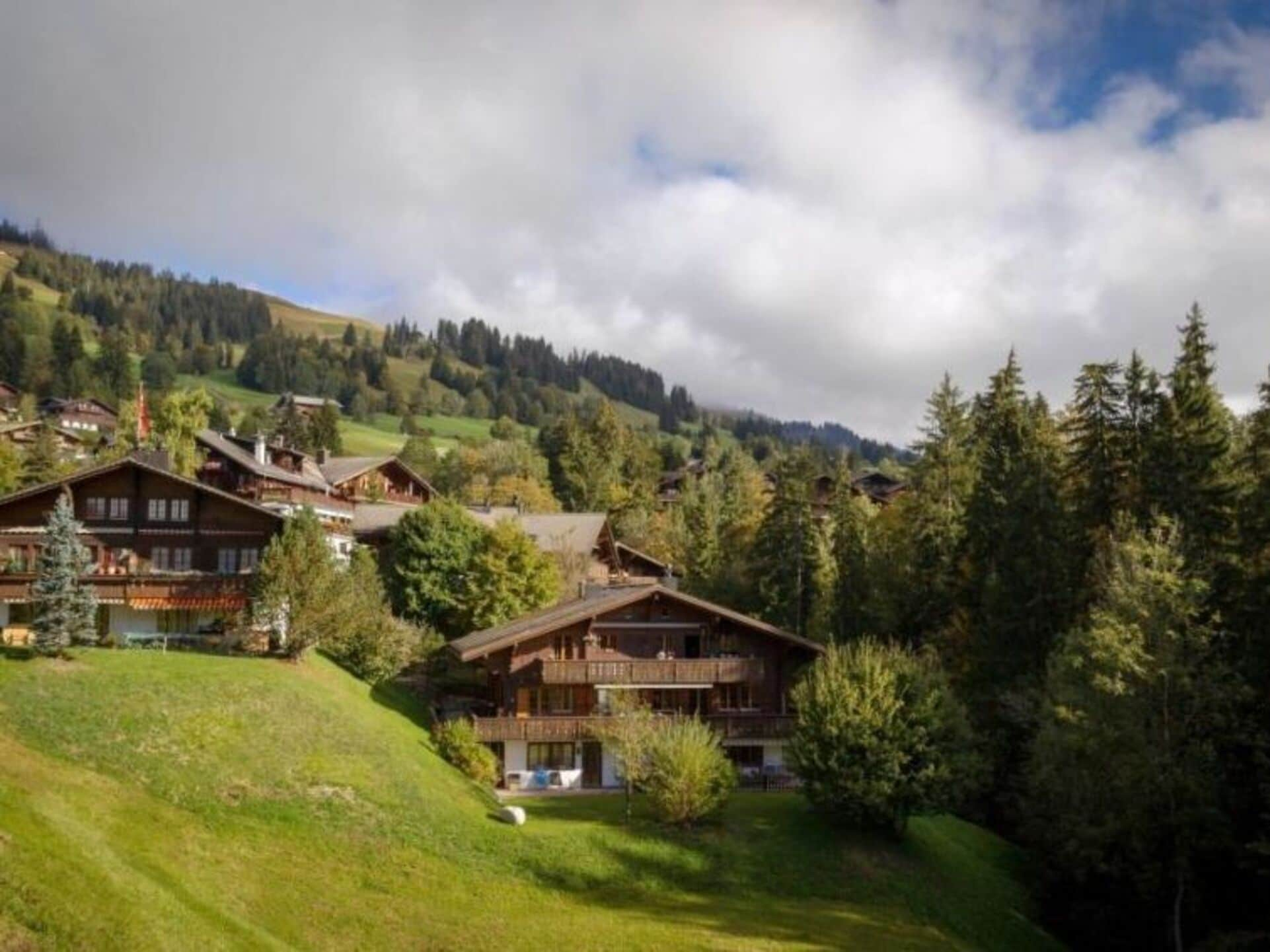 Property Image 2 - Villa with Majestic Views, Bern Villa 1016