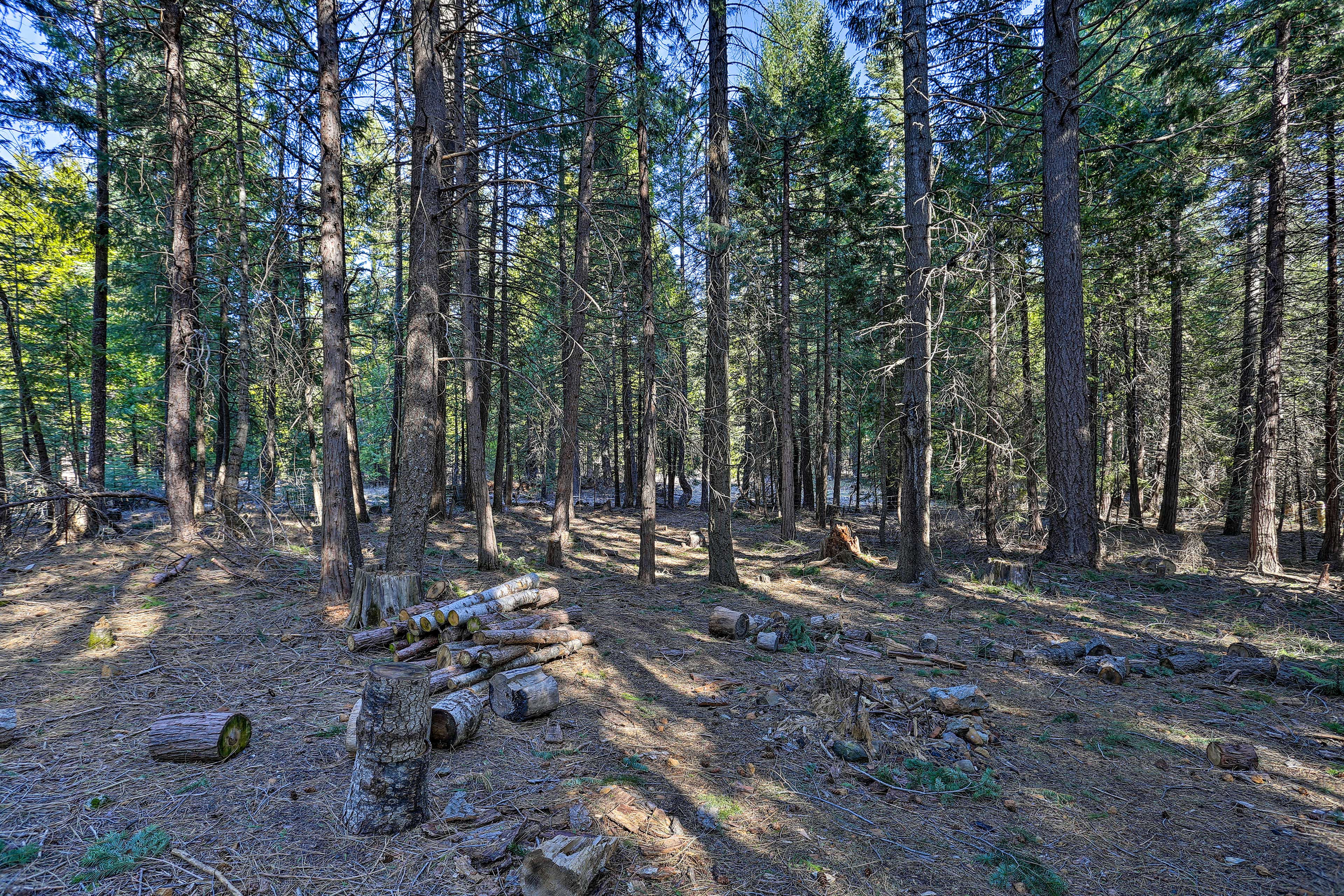 Property Image 1 - Base Camp Lassen Home 13 Mi to Volcanic Nat’l Park