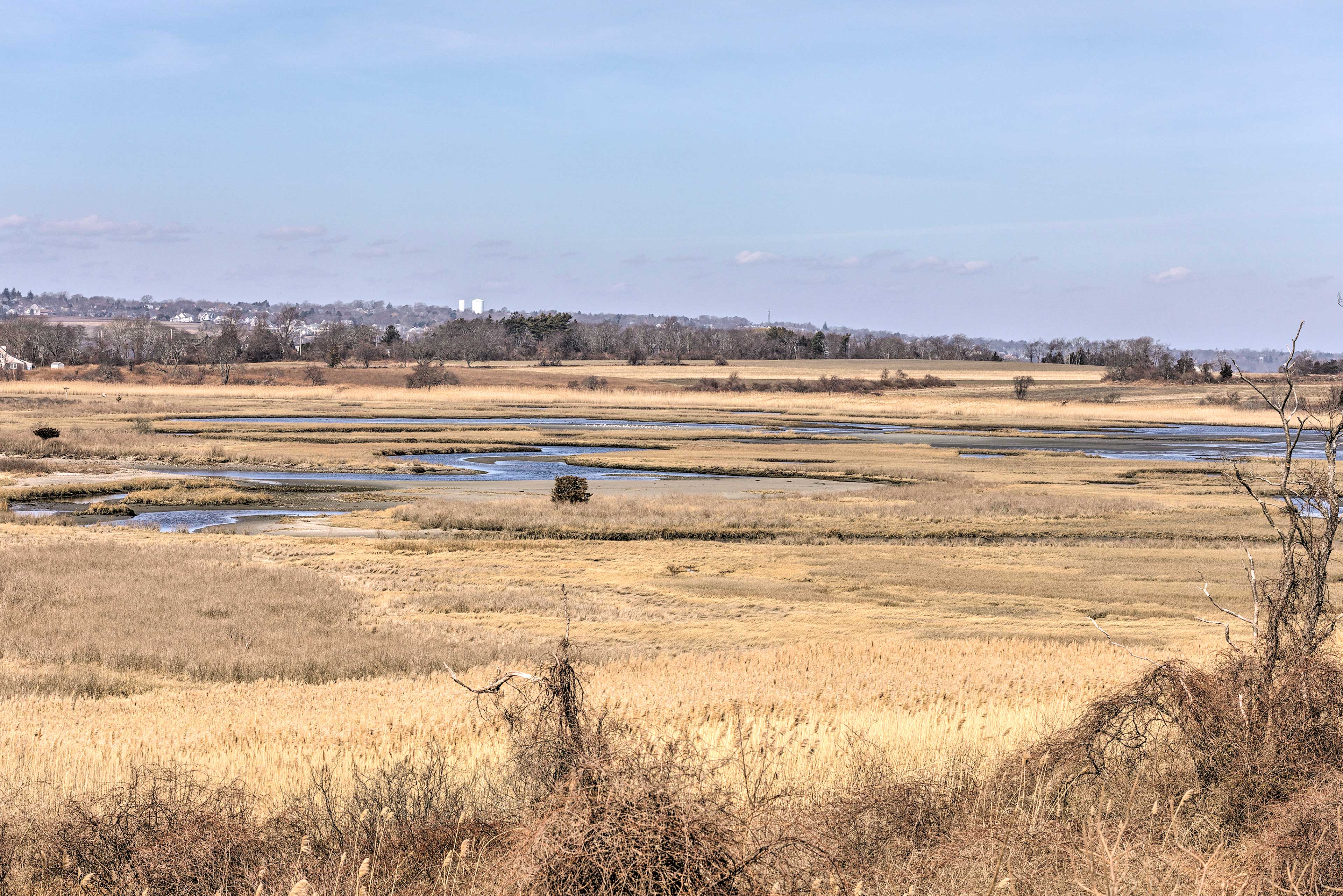 Property Image 2 - Birder’s Paradise Beachhouse < 2 Miles to Winery!