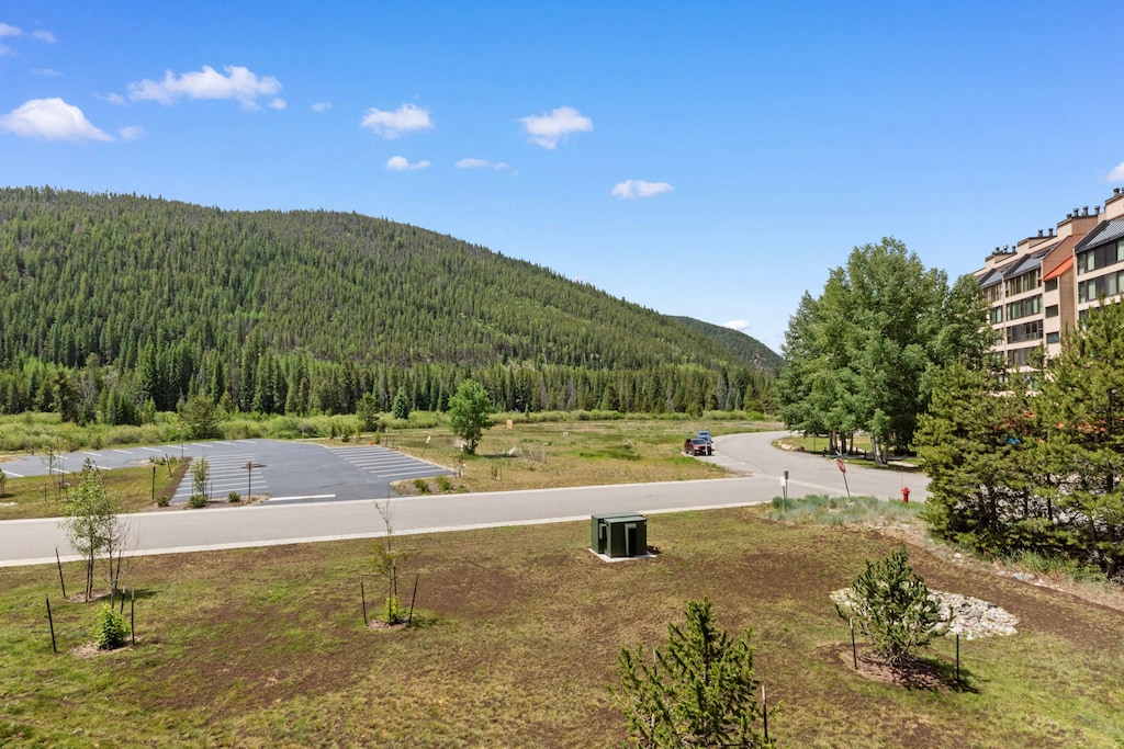 View from the balcony. 