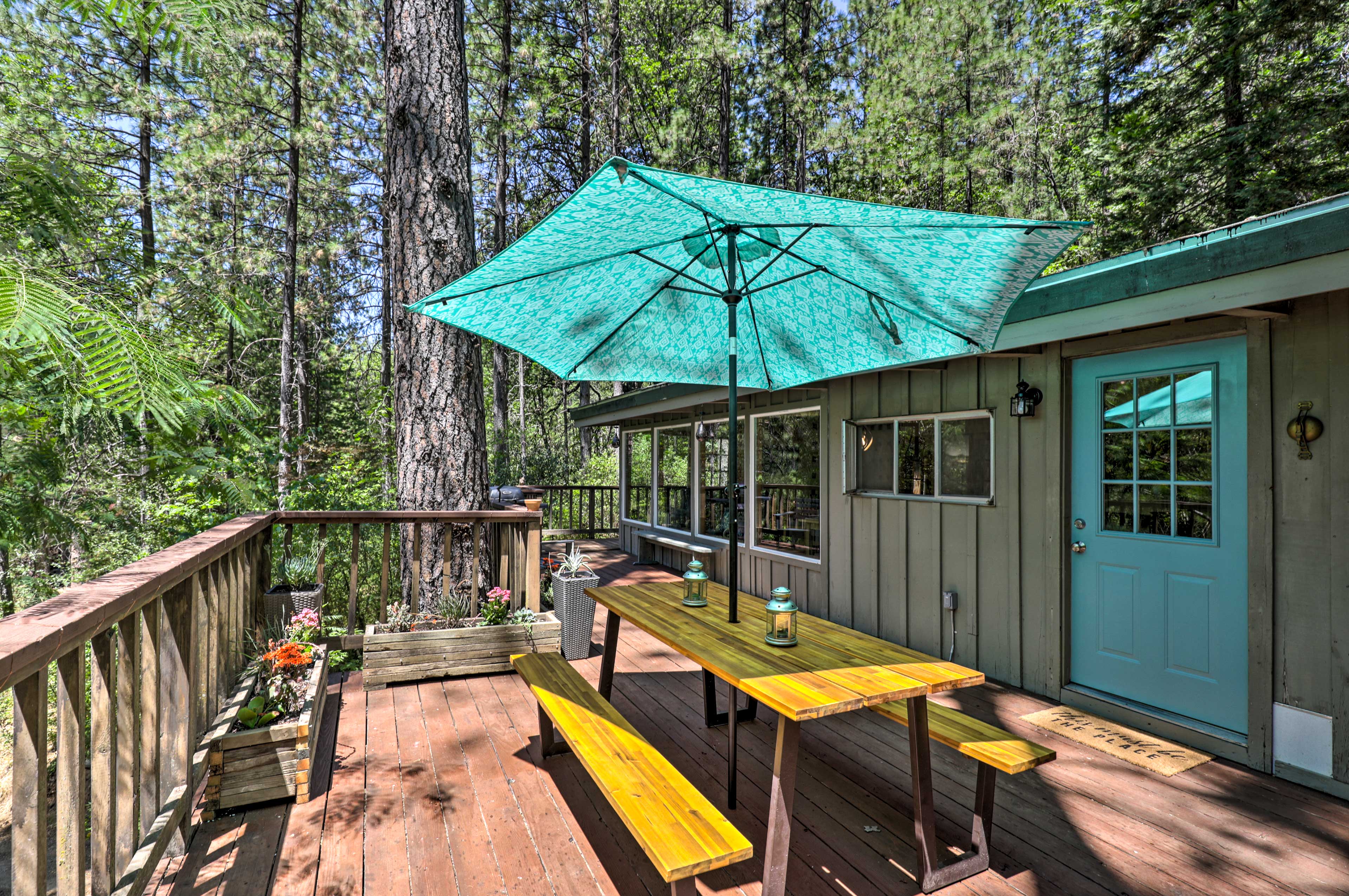 Property Image 1 - Loch Lomond Cabin w/ Hot Tub, Near Wineries!