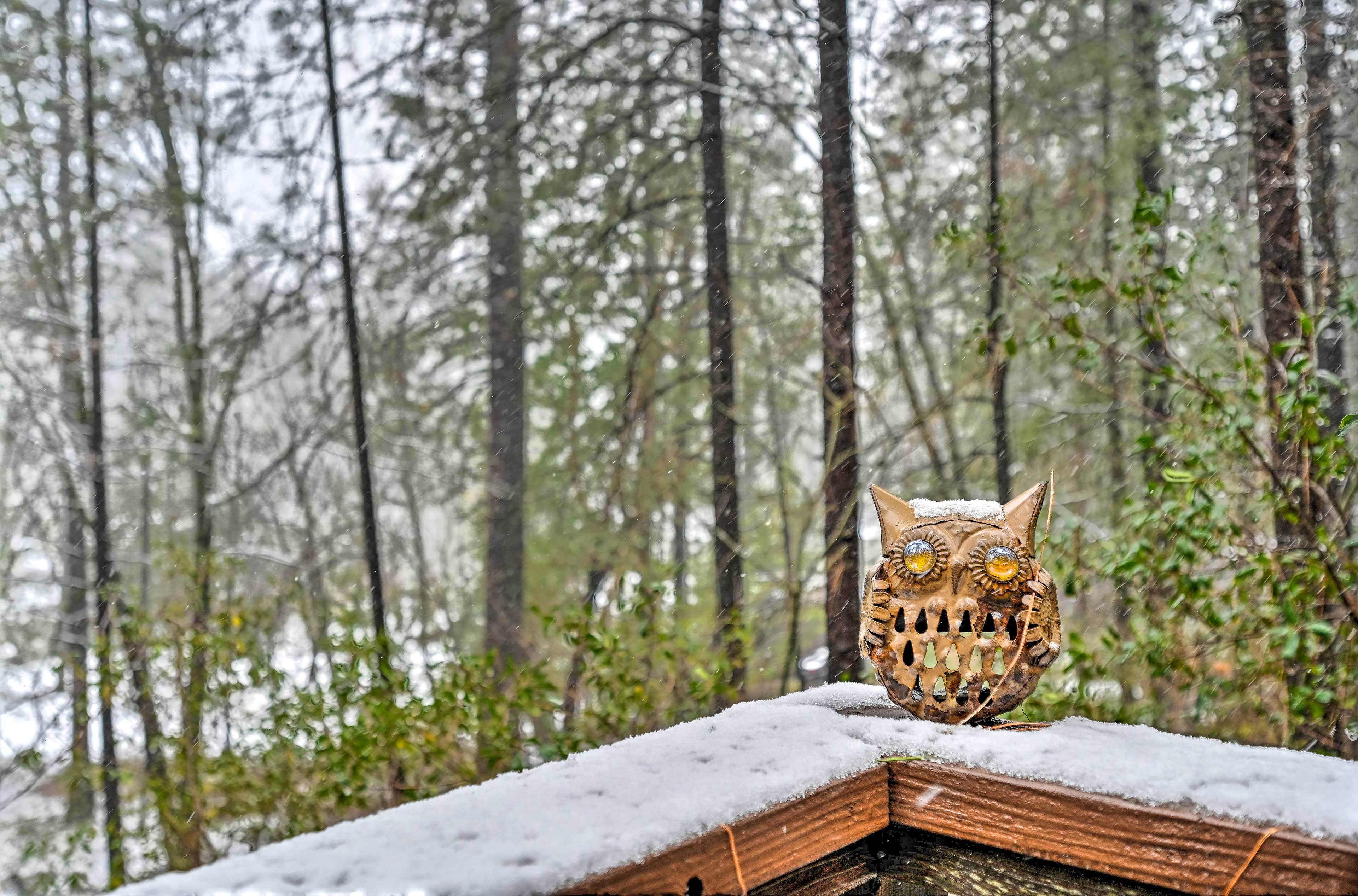 Property Image 1 - Loch Lomond Cabin w/ Hot Tub, Near Wineries!