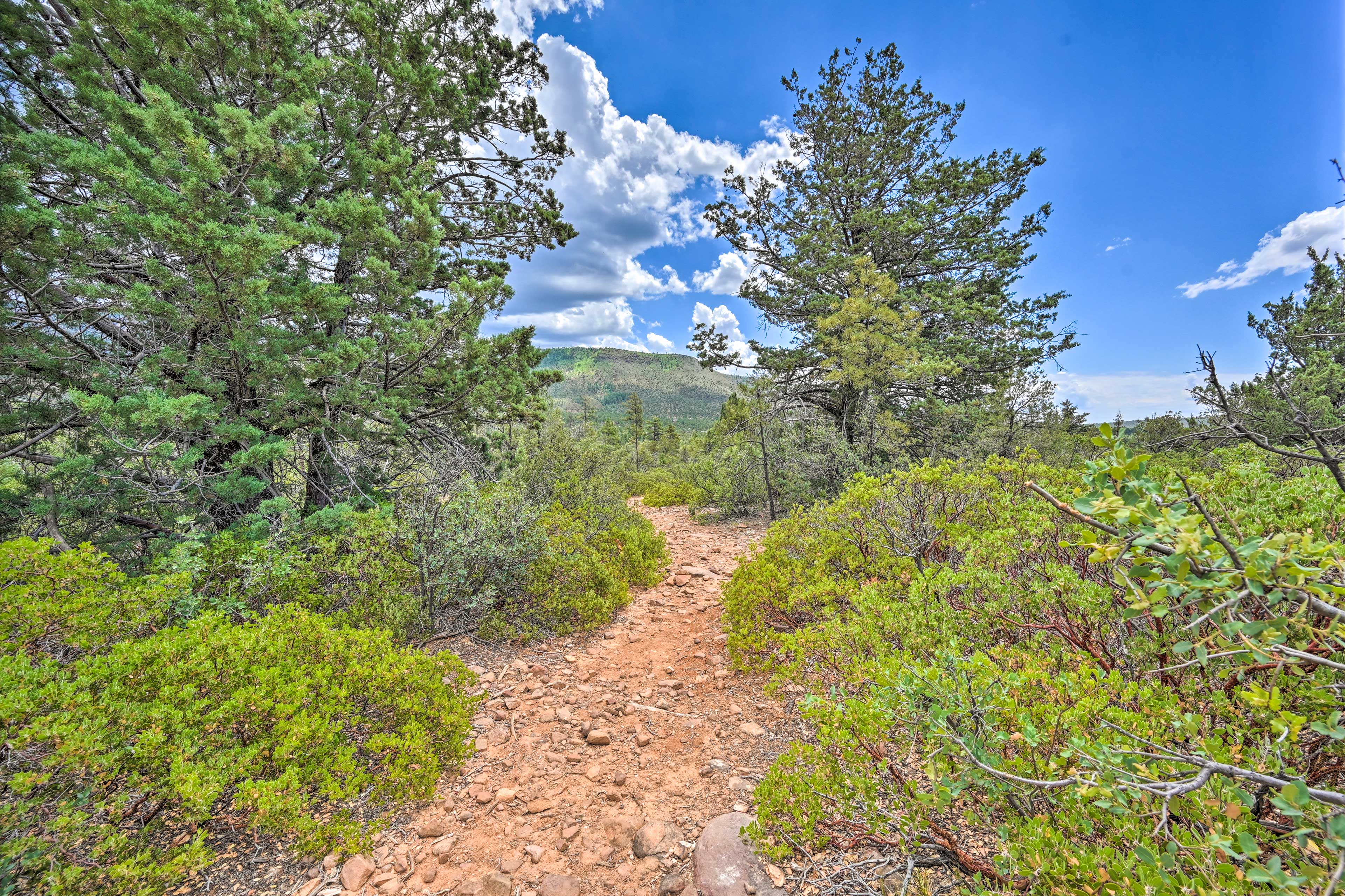 Hot Tub & Views: 'Mountain High Pines Retreat'