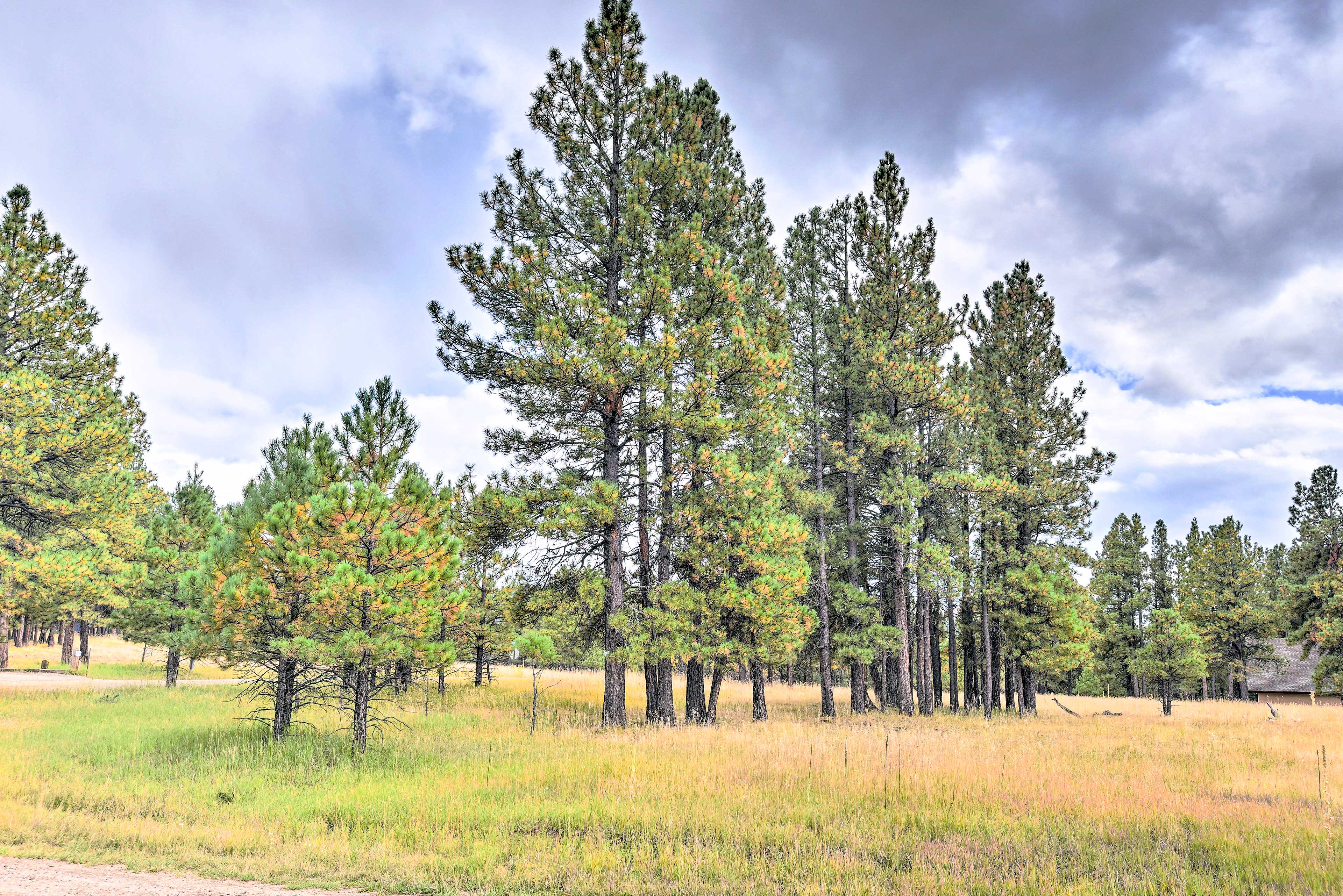 Property Image 2 - ’Enchanted Pines’ Mountain Escape w/ Deck & Grill!