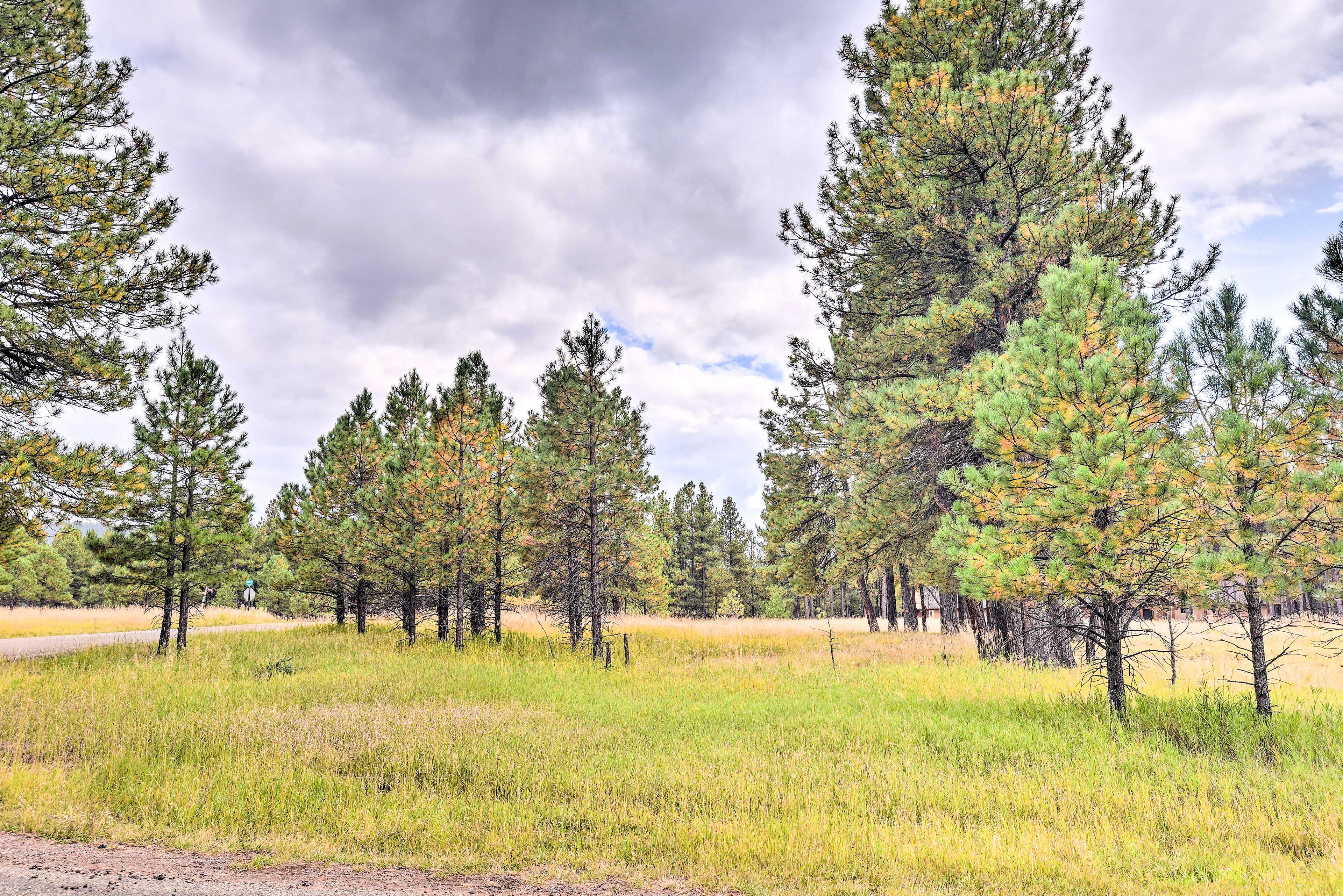 Property Image 1 - ’Enchanted Pines’ Mountain Escape w/ Deck & Grill!