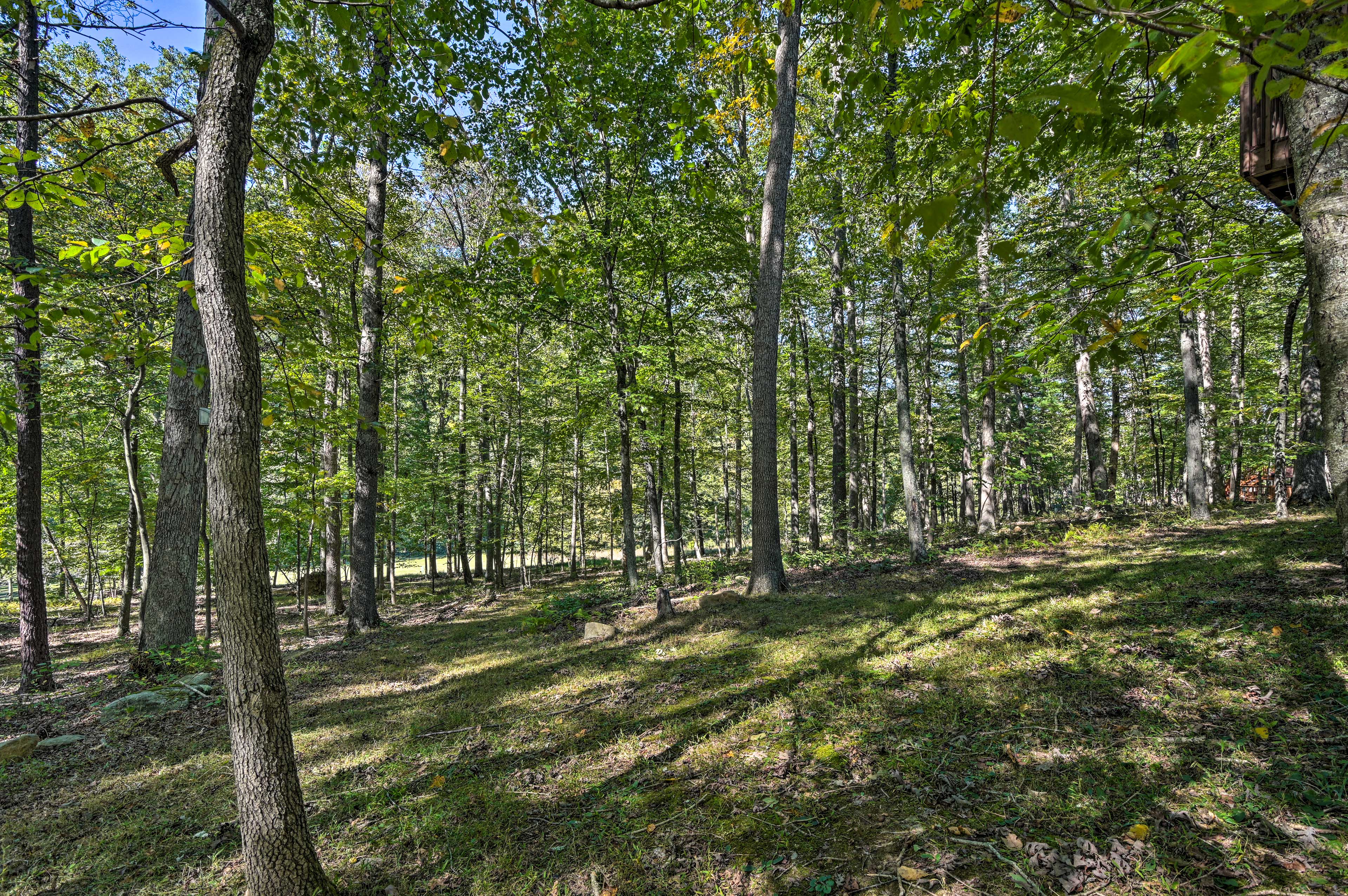 Property Image 2 - Cacapon River Cabin w/ Private River Access!