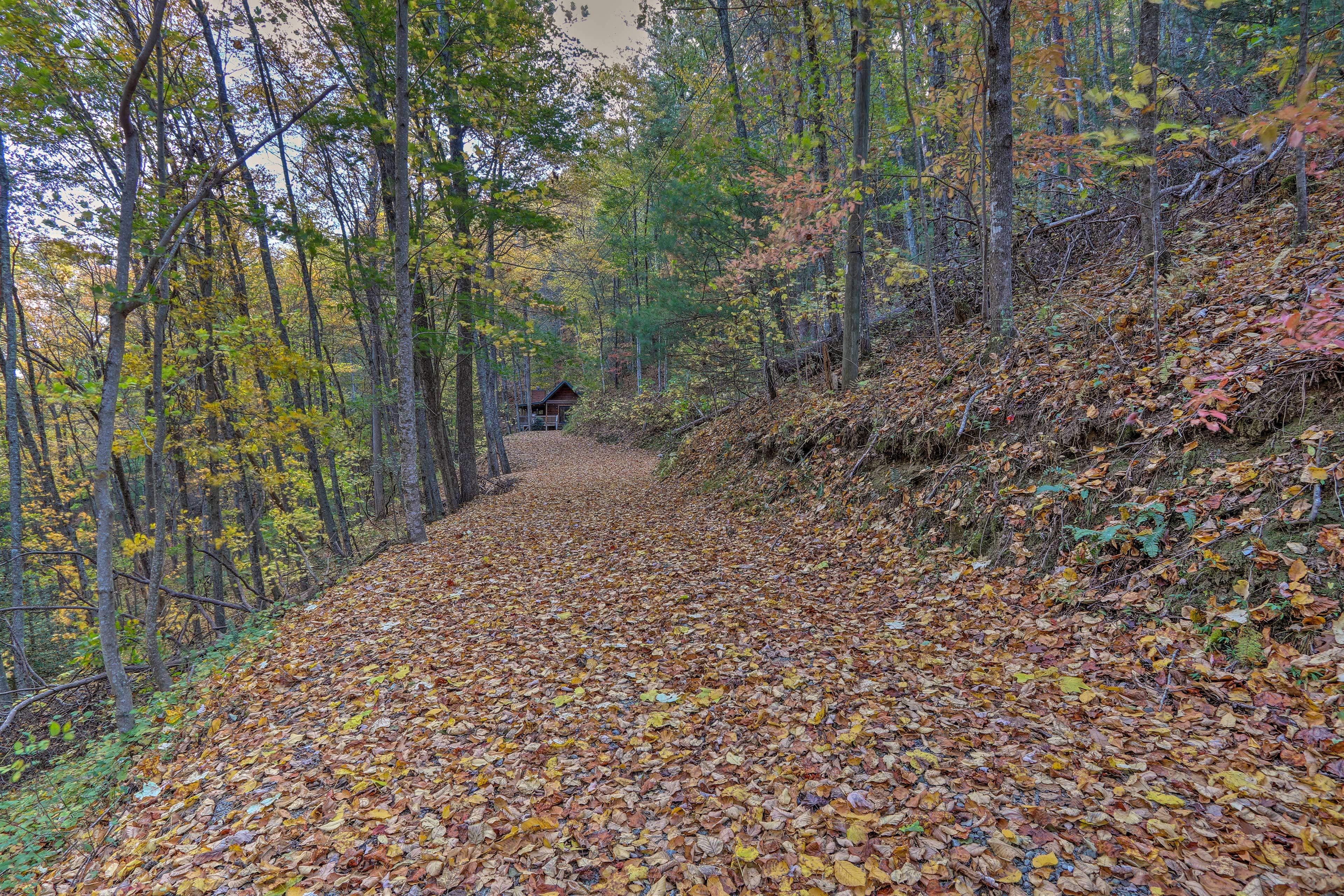 Fireplace & Foliage: Quaint Blue Ridge Cabin!