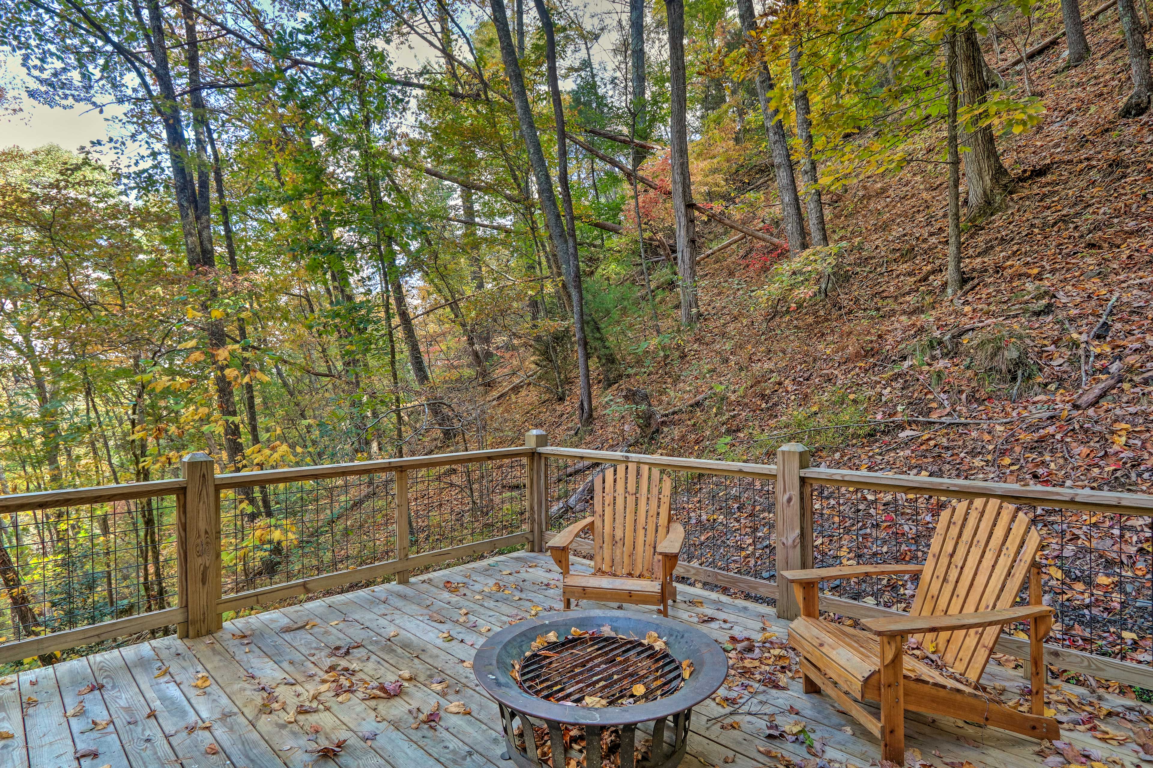 Property Image 2 - Charming Blue Ridge Cabin w/ Deck + Grill!