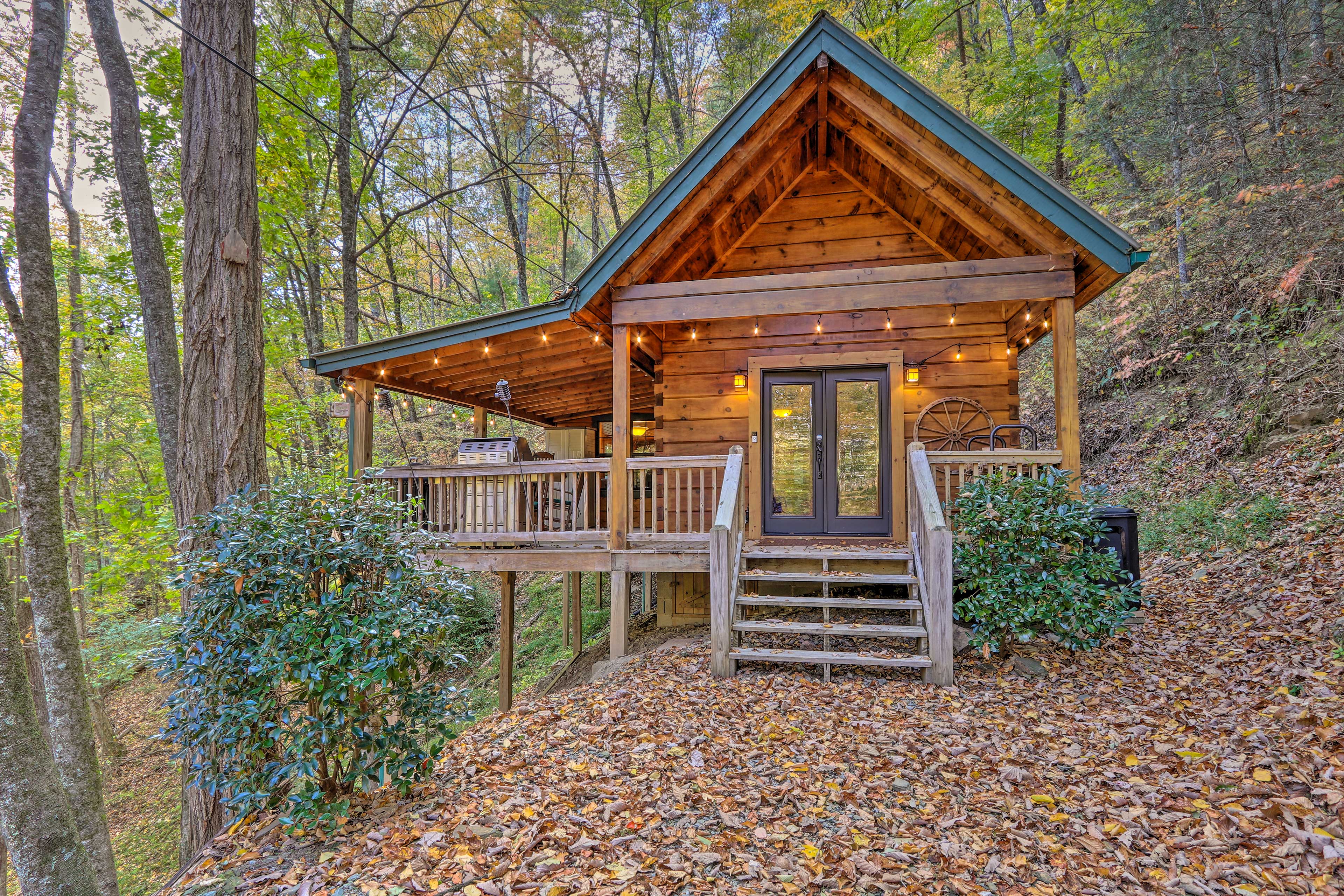 Property Image 1 - Charming Blue Ridge Cabin w/ Deck + Grill!