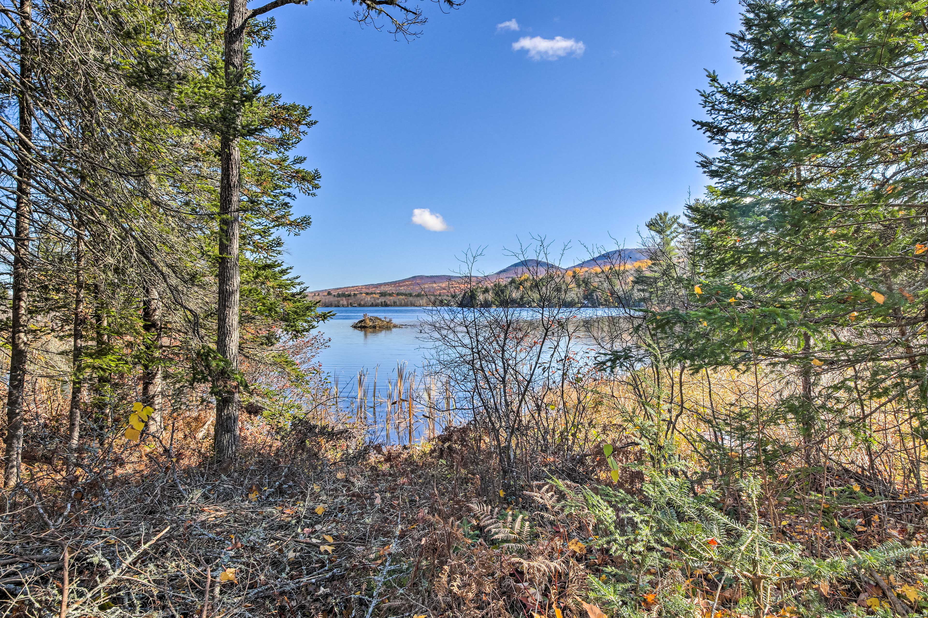 Property Image 2 - Cozy & Peaceful Waterfront Cabin on Porter Lake!