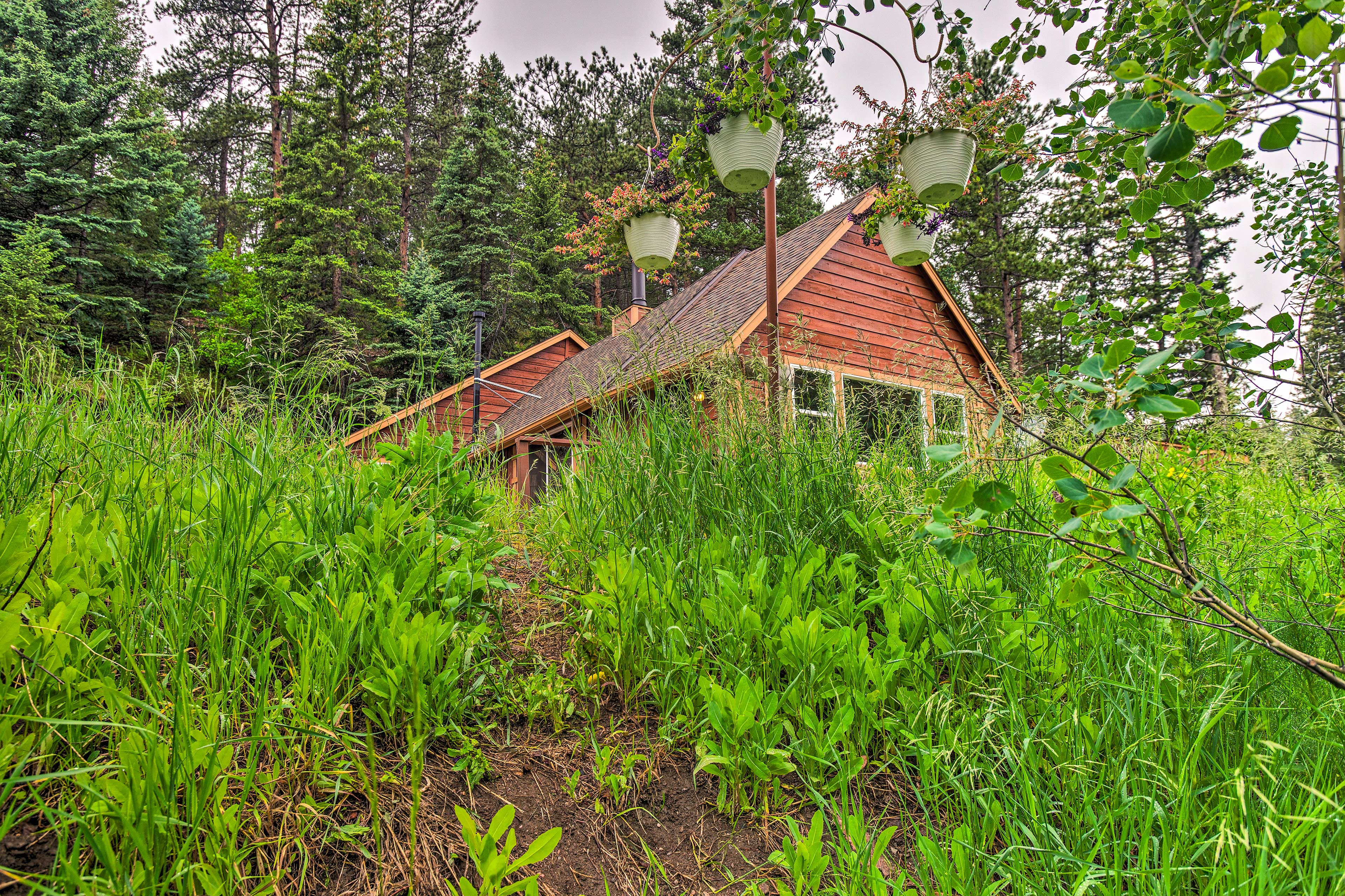 Property Image 1 - Creekside Morrison Cabin ~ 9 Mi to Red Rocks Park!