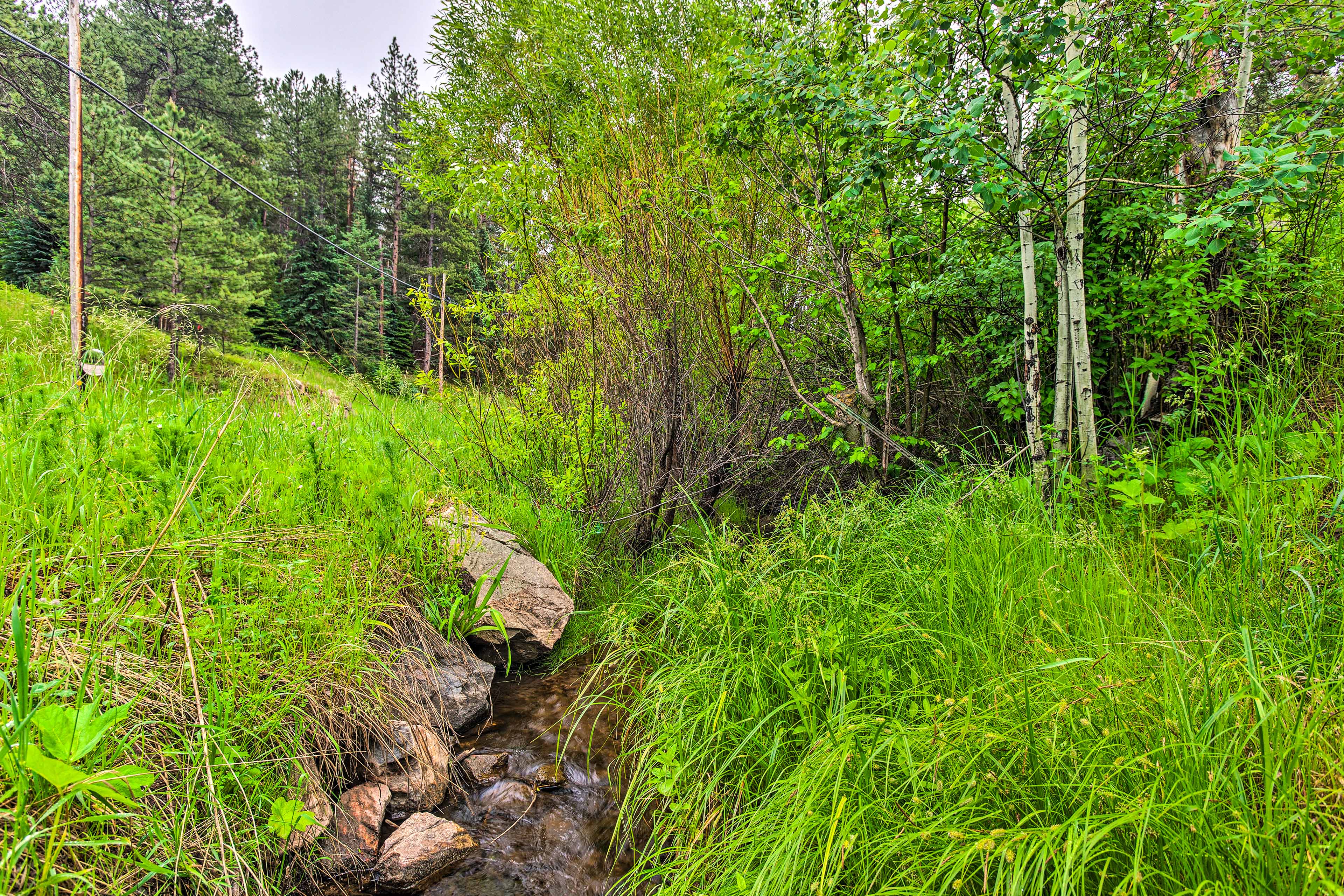 Property Image 2 - Creekside Morrison Cabin ~ 9 Mi to Red Rocks Park!