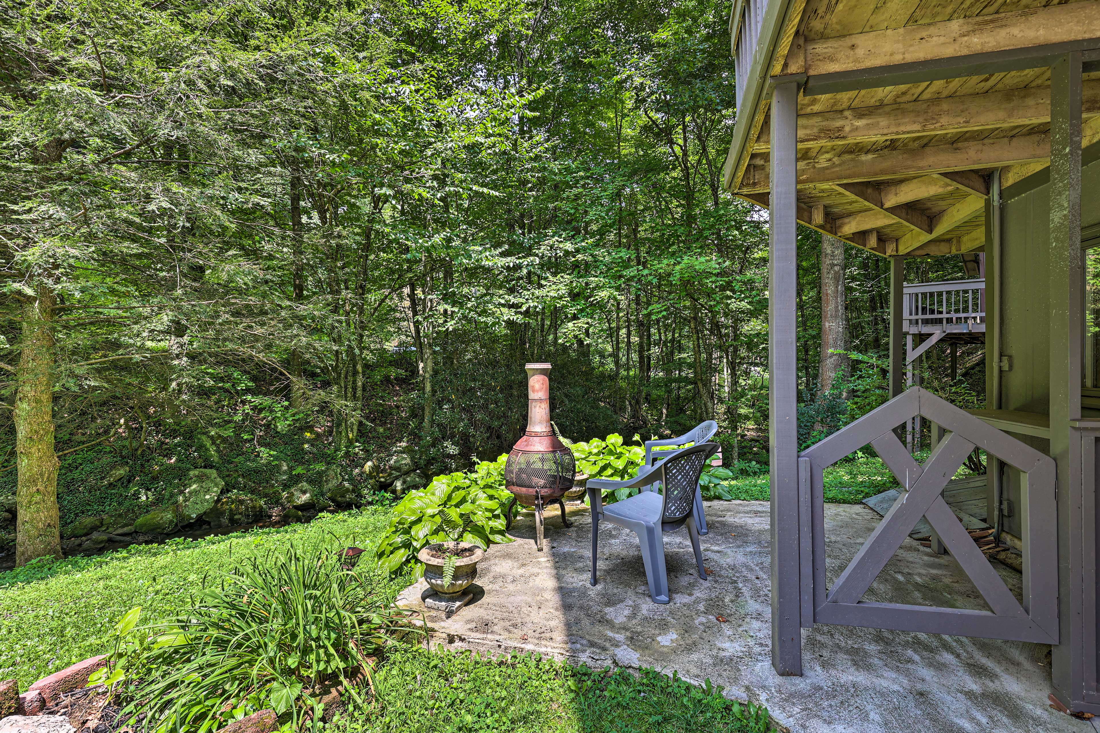 Property Image 2 - Creekside Roan Mountain Cabin: Walk to Trails