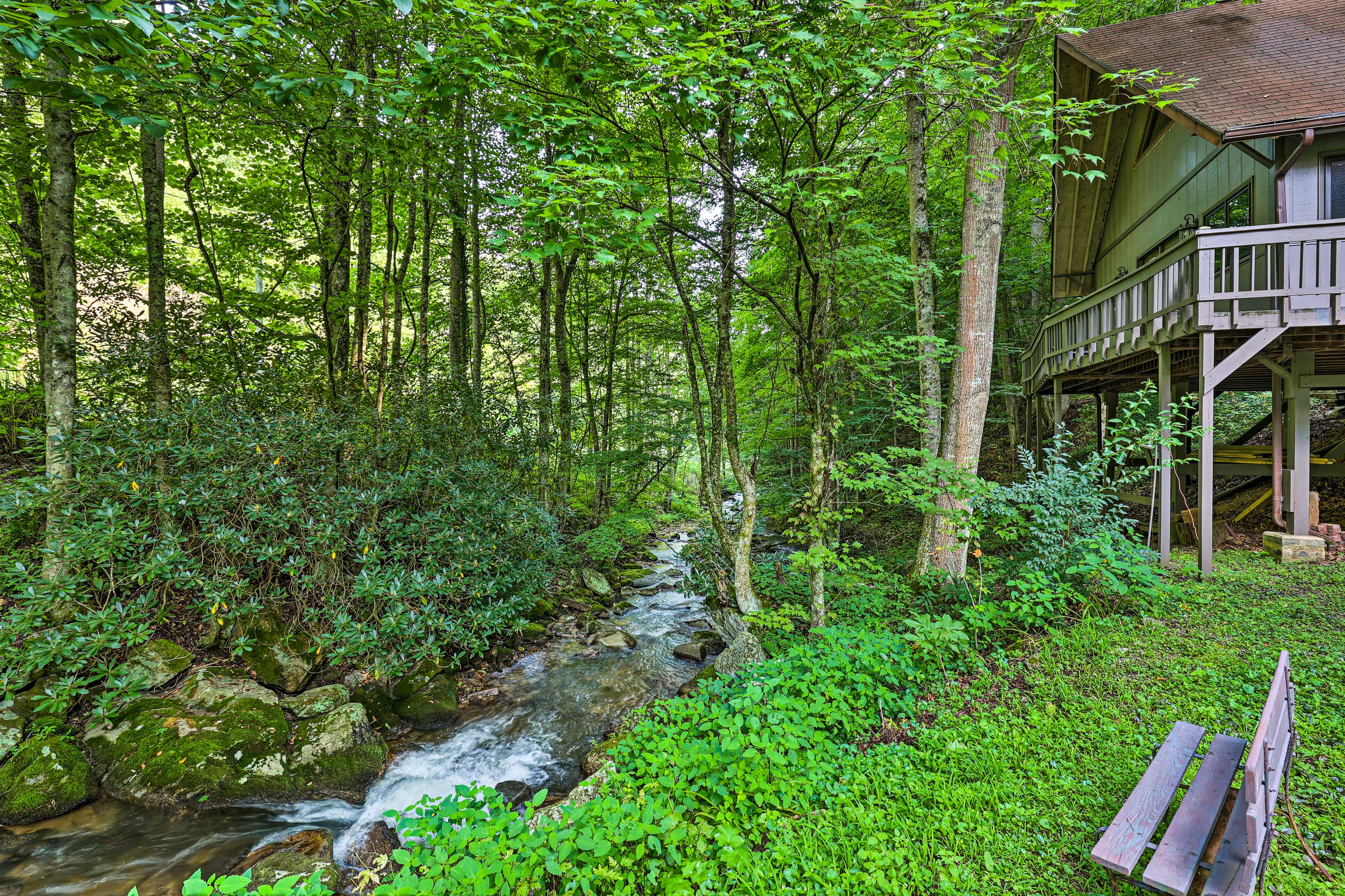 Creekside Roan Mountain Cabin: Walk to Trails