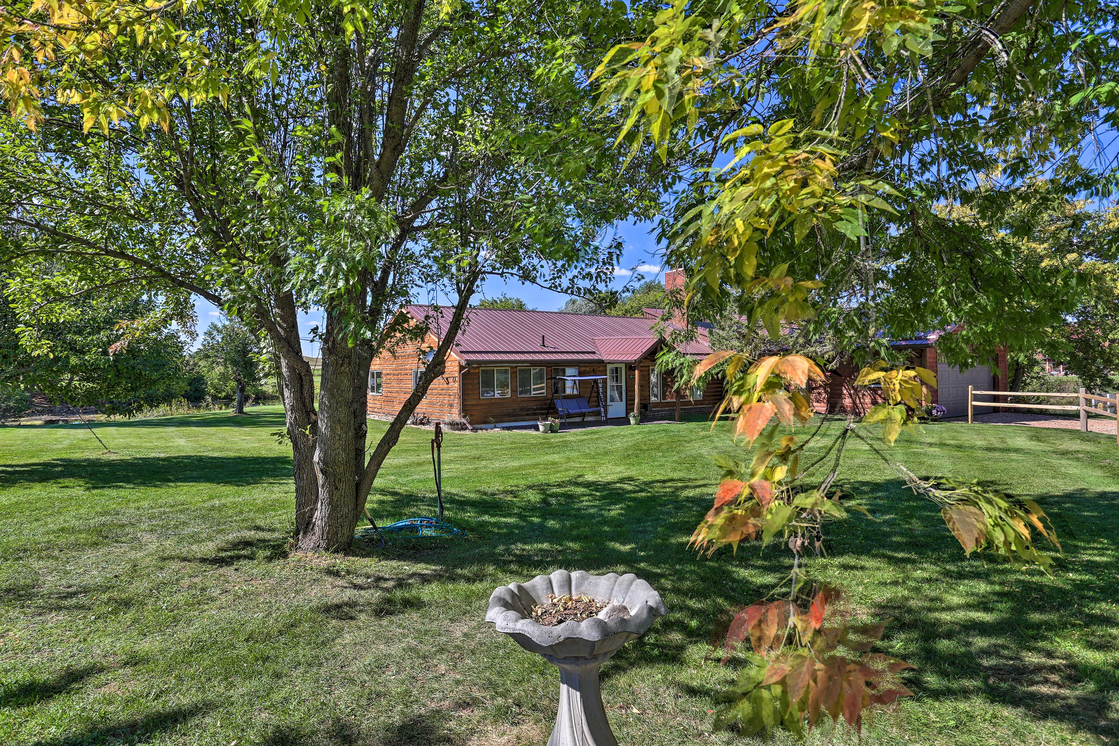 Property Image 1 - Rustic Spearfish Cabin on 12-Acre Trout Farm