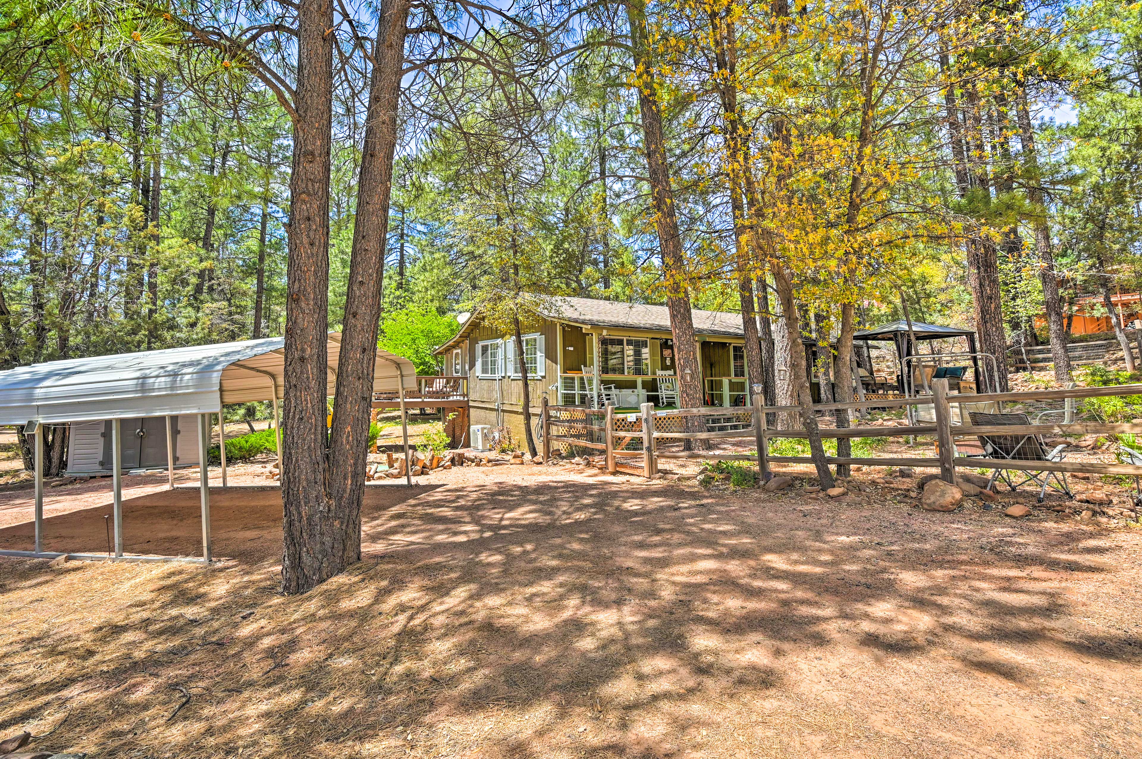 Property Image 1 - Pine Cabin in the Woods w/ Yard + Grill!