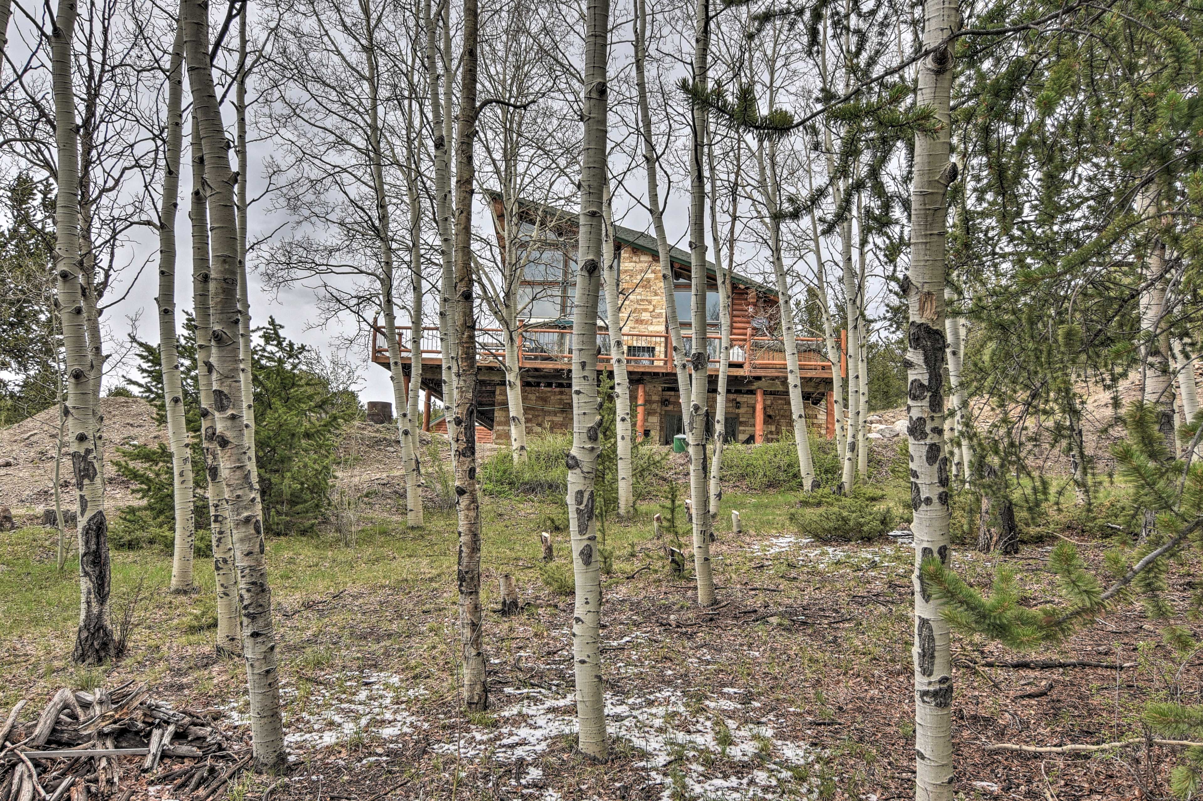 Spacious, Luxe Cabin w/ Mtn Views, Sauna & More!