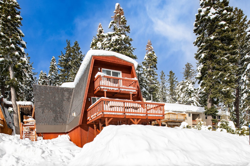 Welcome to Chickadee!