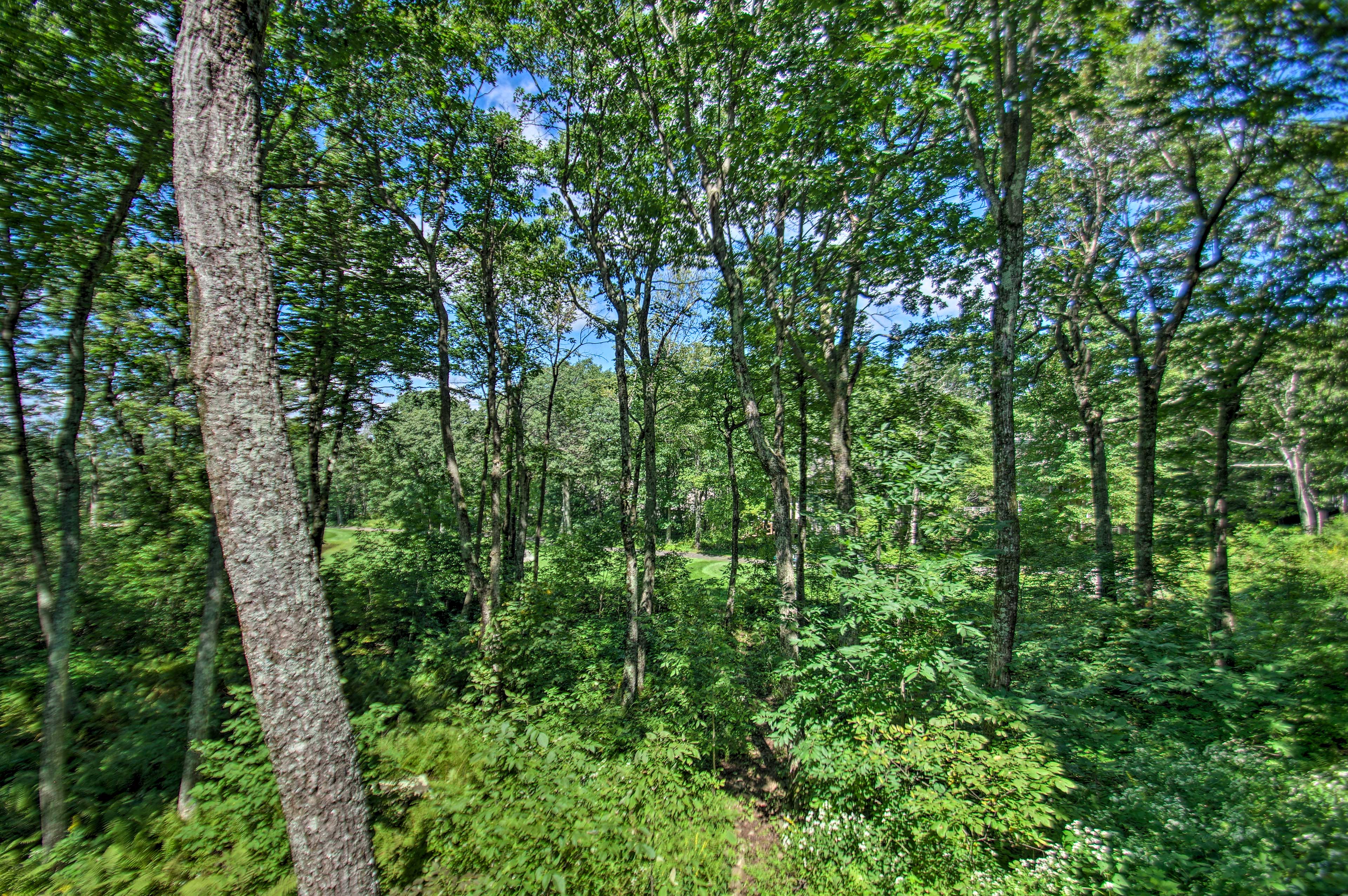 Property Image 1 - Luxe Wintergreen Resort Escape w/ Hot Tub!